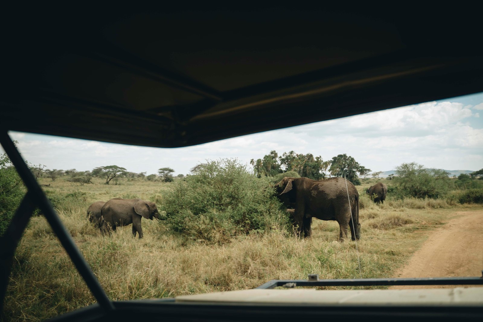 Arriving in Tanzania