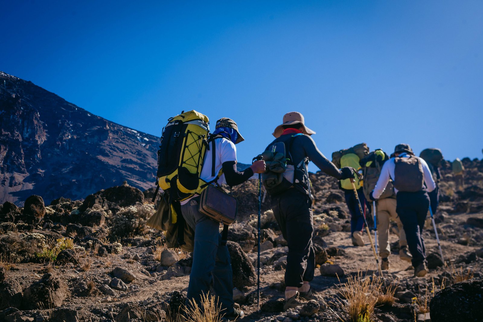 Lemosho on Mount Kilimanjaro