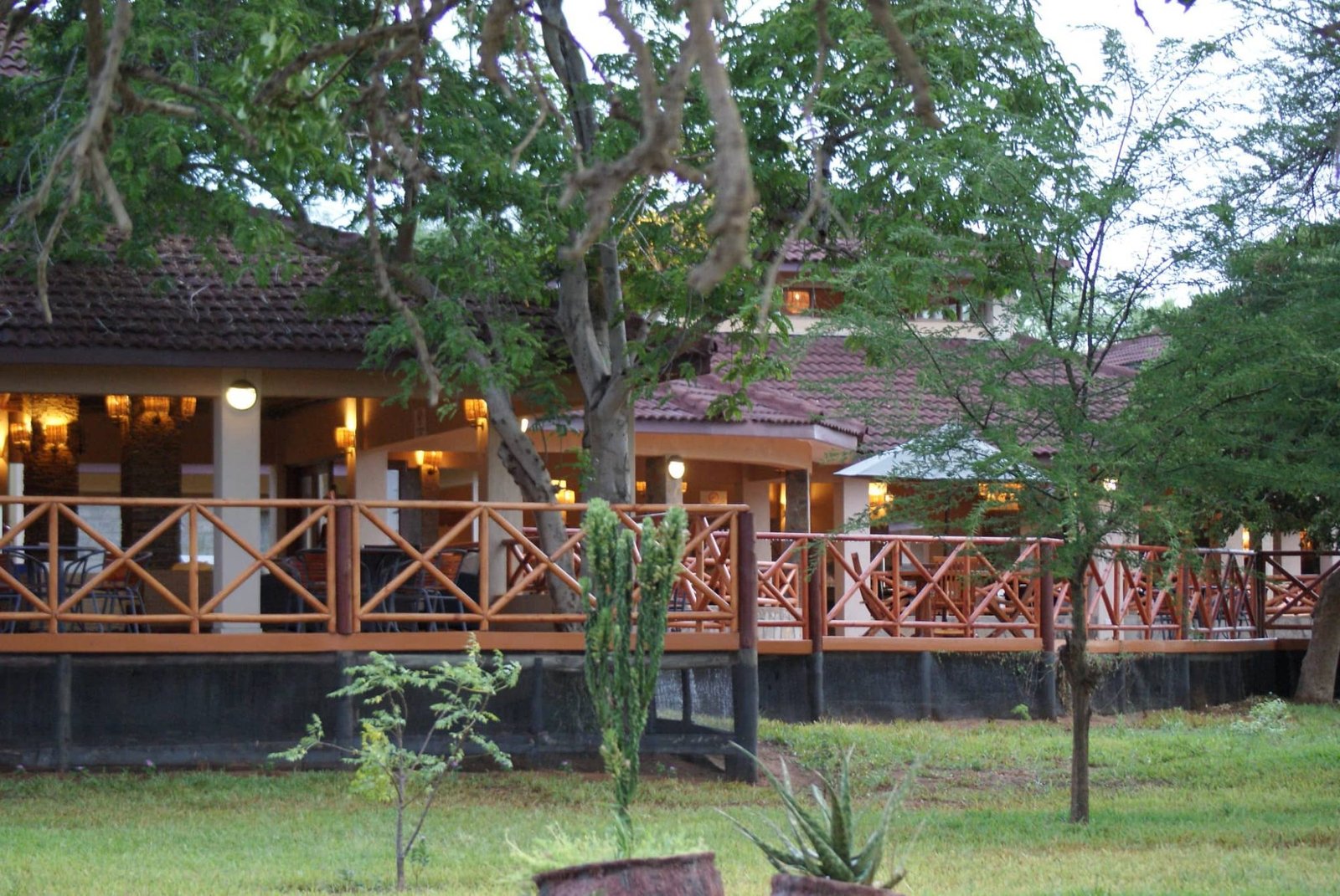 Aruba Mara Camp and Safari - view 3