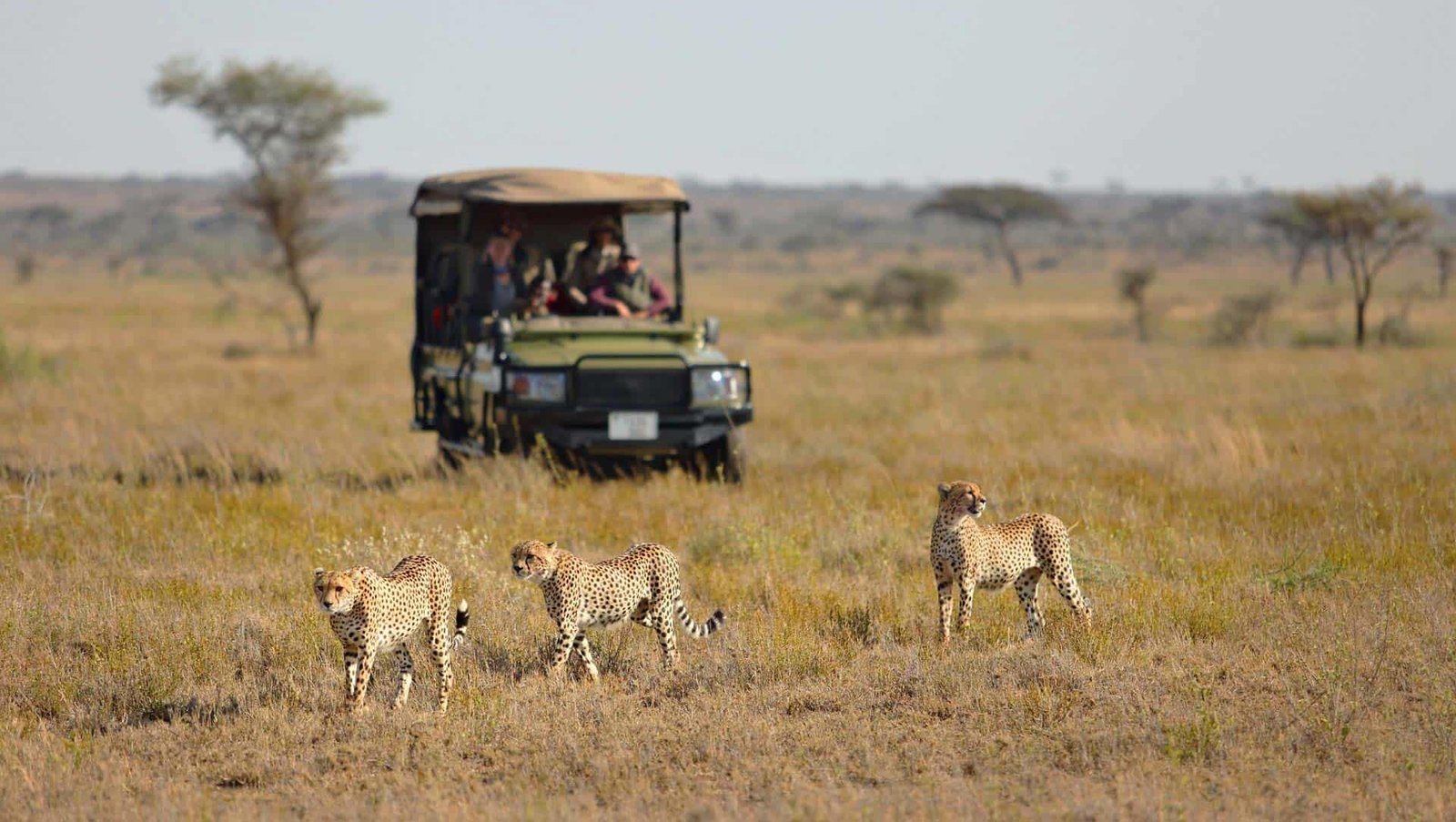 Namiri Plains - view 5