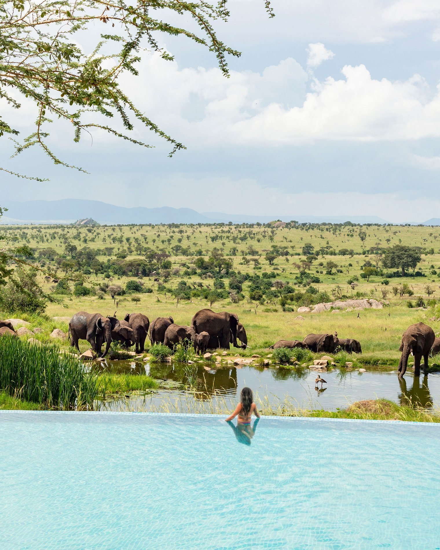 Four Seasons Safari Lodge Serengeti - view 2