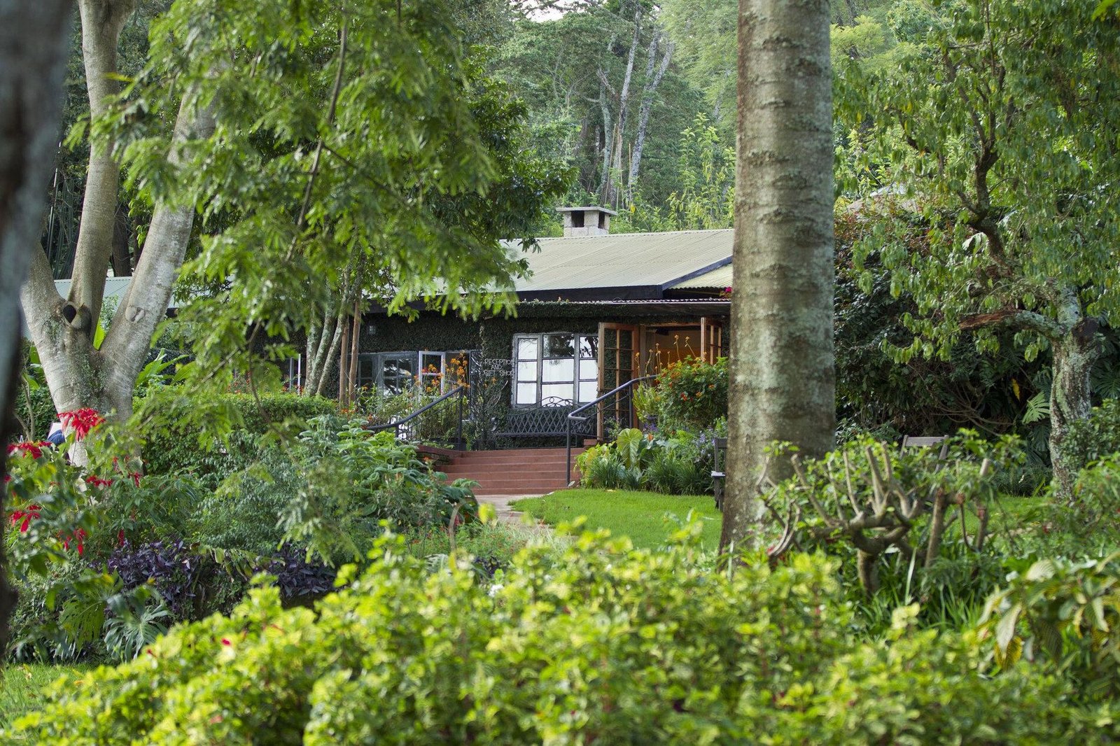 Gibb's Farm - view 3