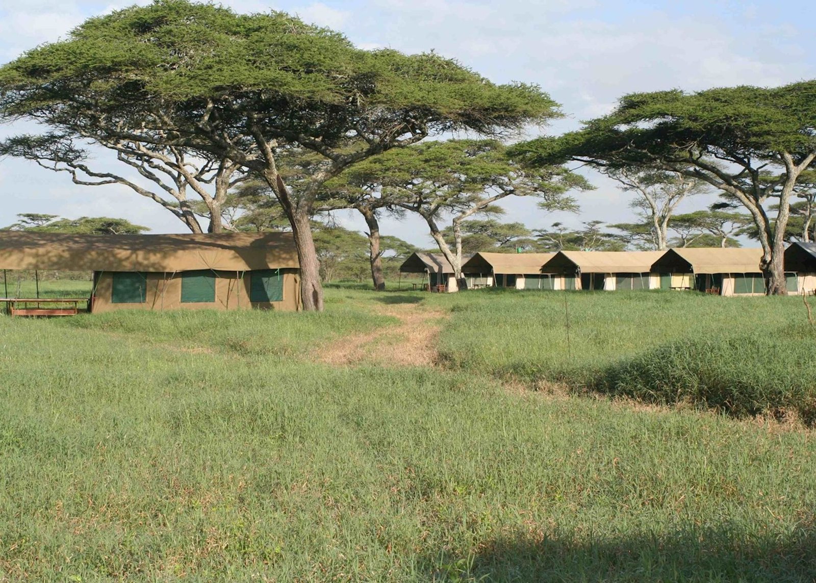 Serengeti Kati Kati Tented Camp (Standard)