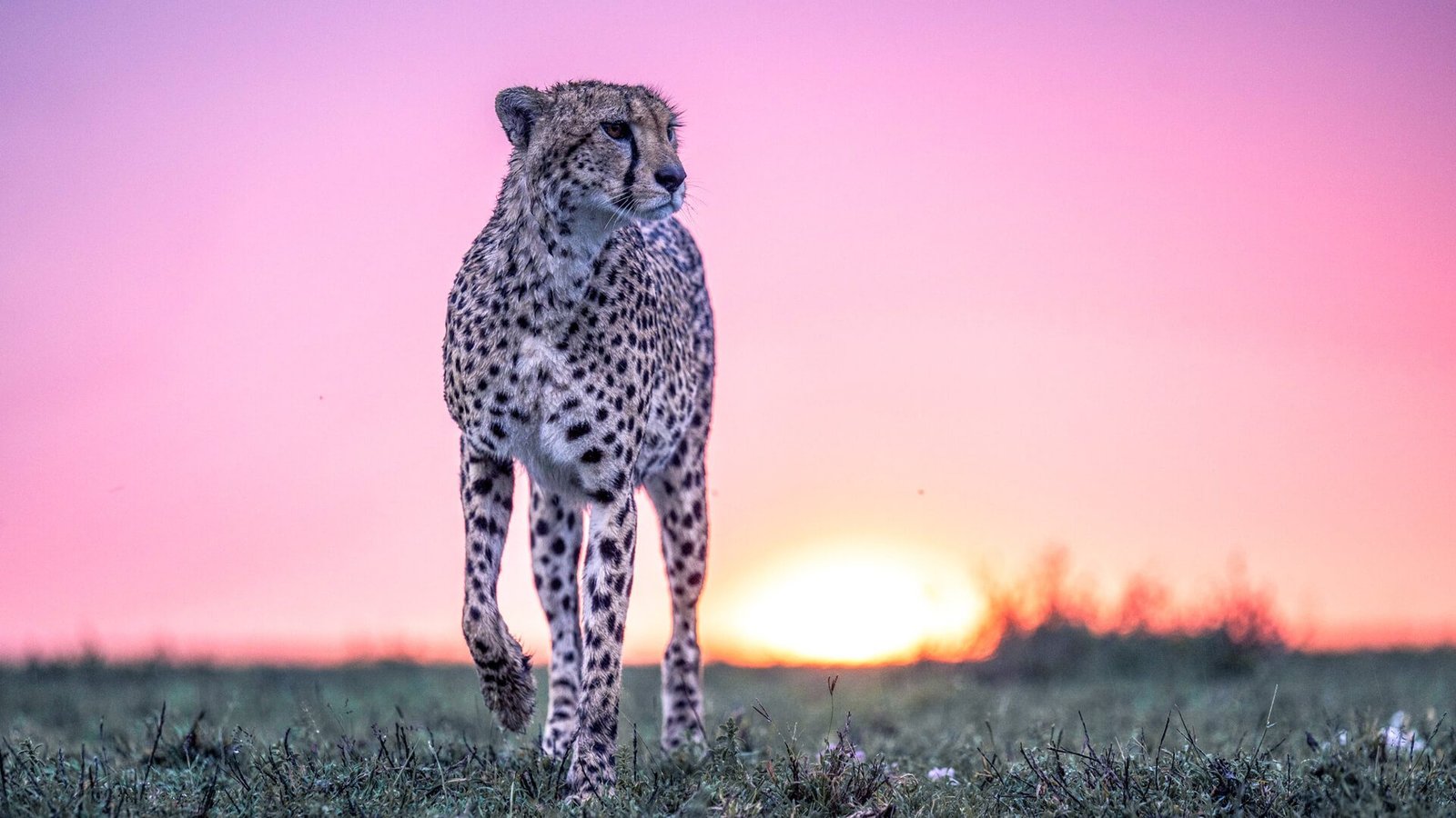 One Nature Mara - view 4