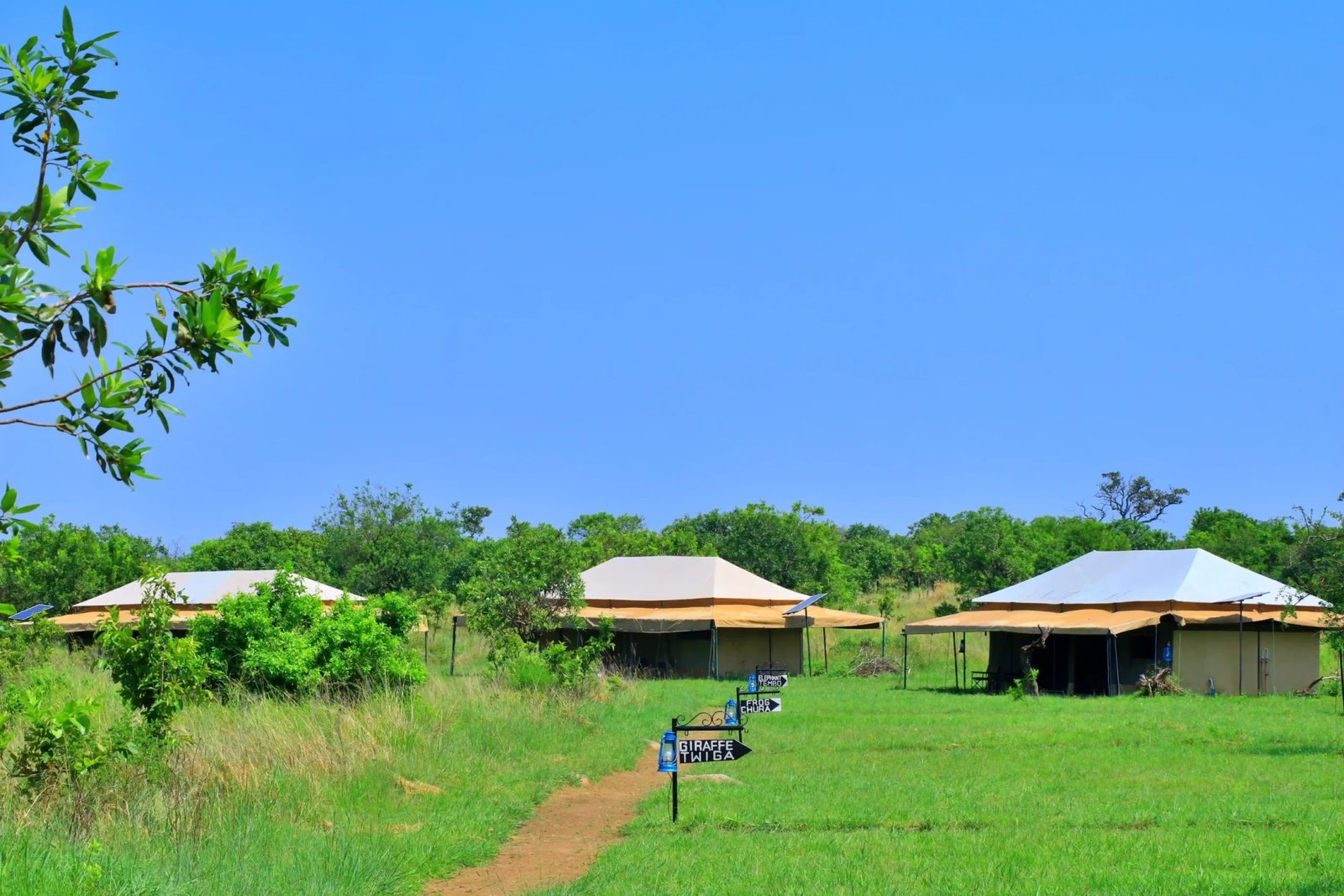 Serengeti Mara River Camp - view 4