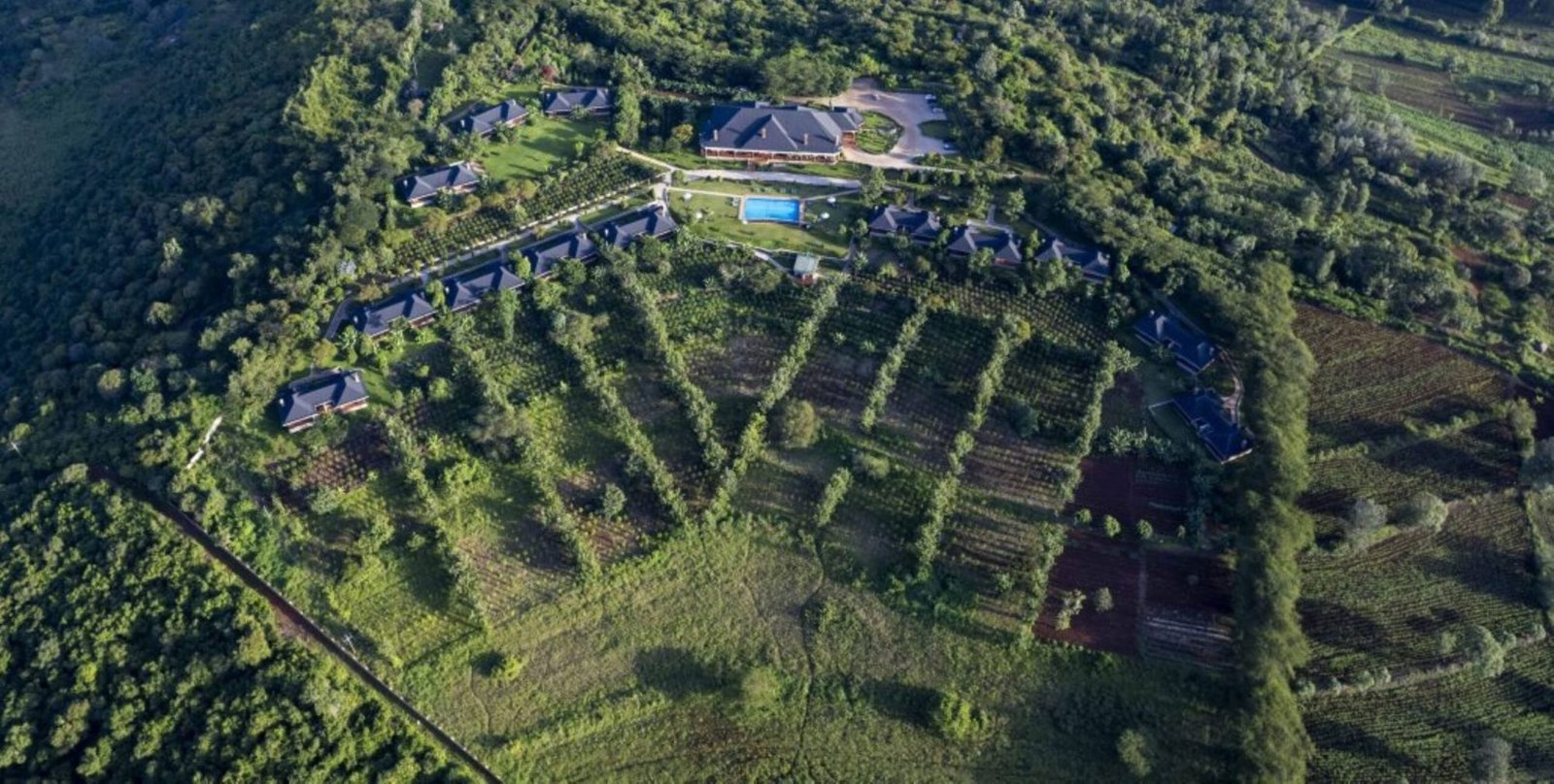 Ngorongoro coffee lodge - view 3
