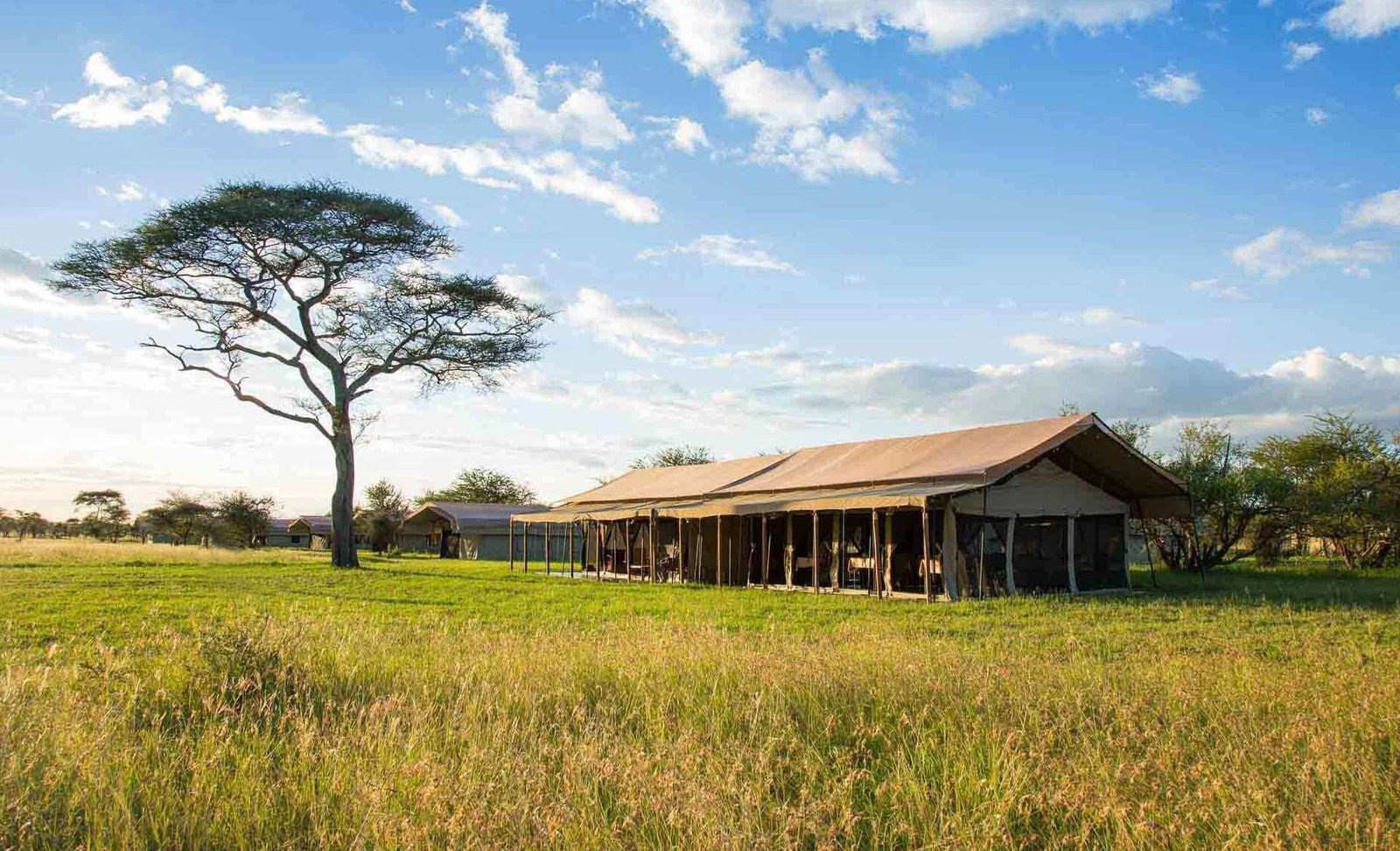 ThornTree Camp