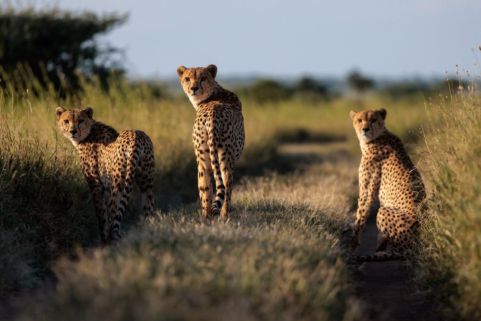 Namiri Plains - view 3