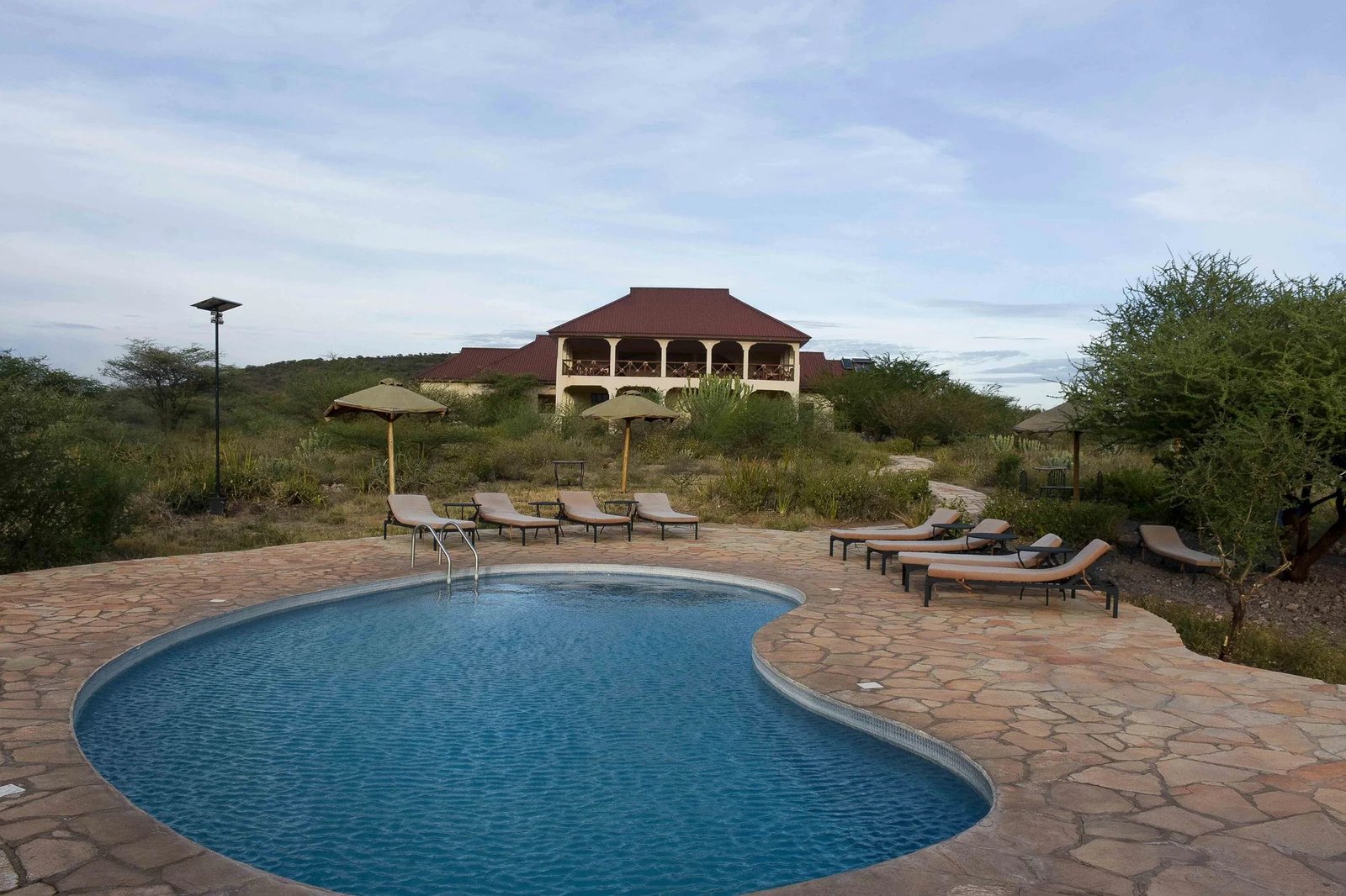 Mid‑Range Accommodation: Bougainvillea Safari Lodge - view 5