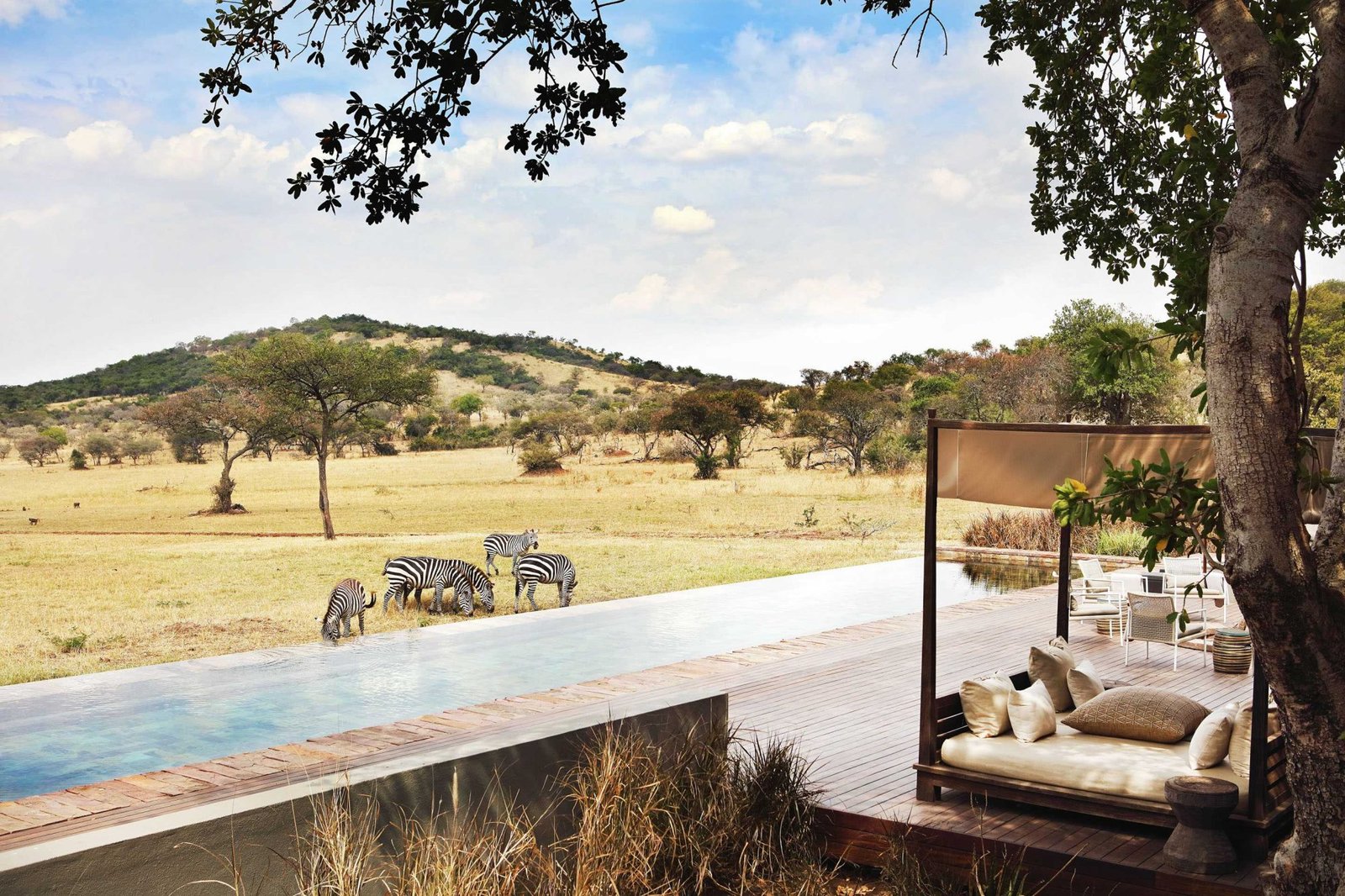 Singita Serengeti House - High-End Luxury accommodation in Tanzania