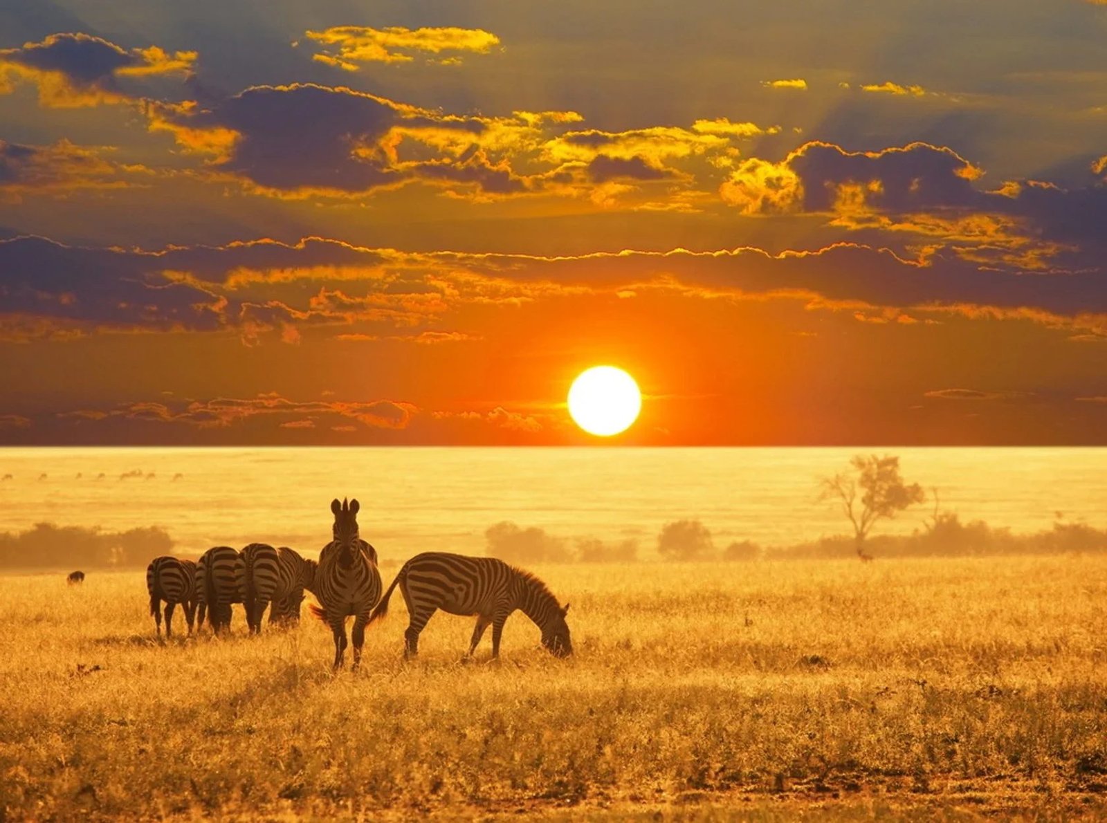 Ruaha Hilltop - view 5