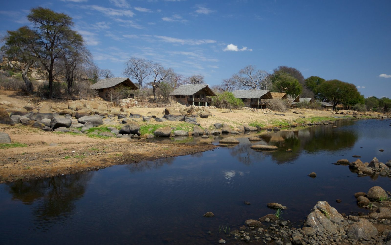 Ruaha River Lodge