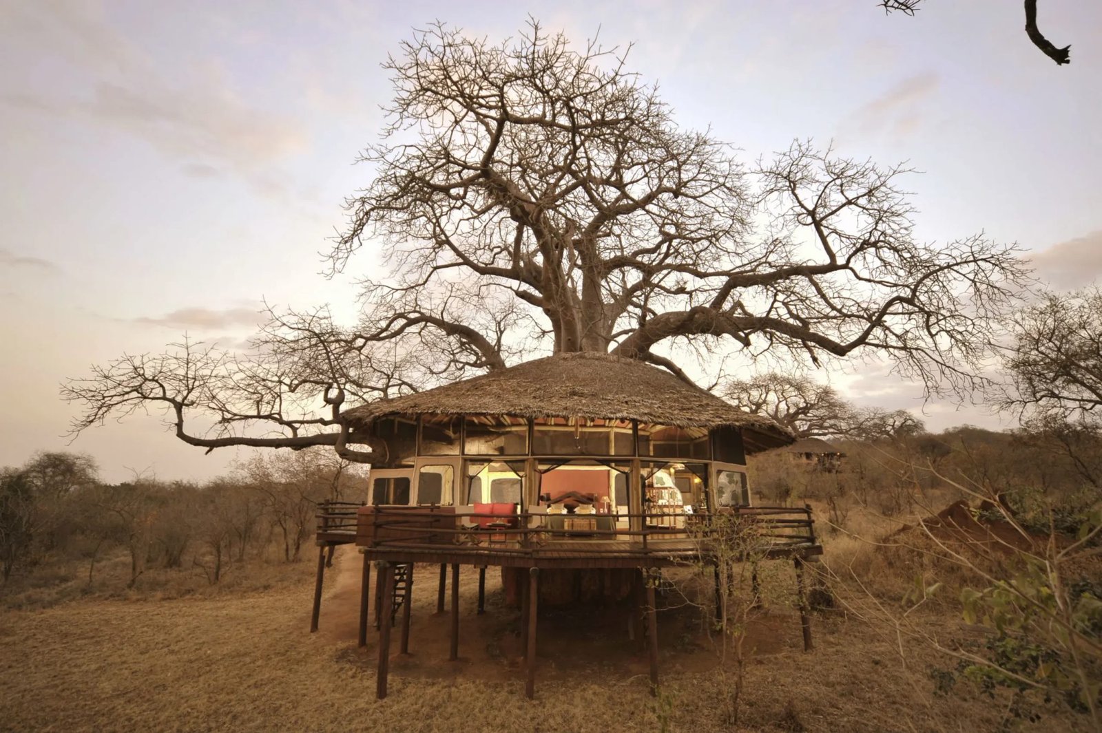 Tarangire Treetops by Elewana - Luxury accommodation in Tanzania