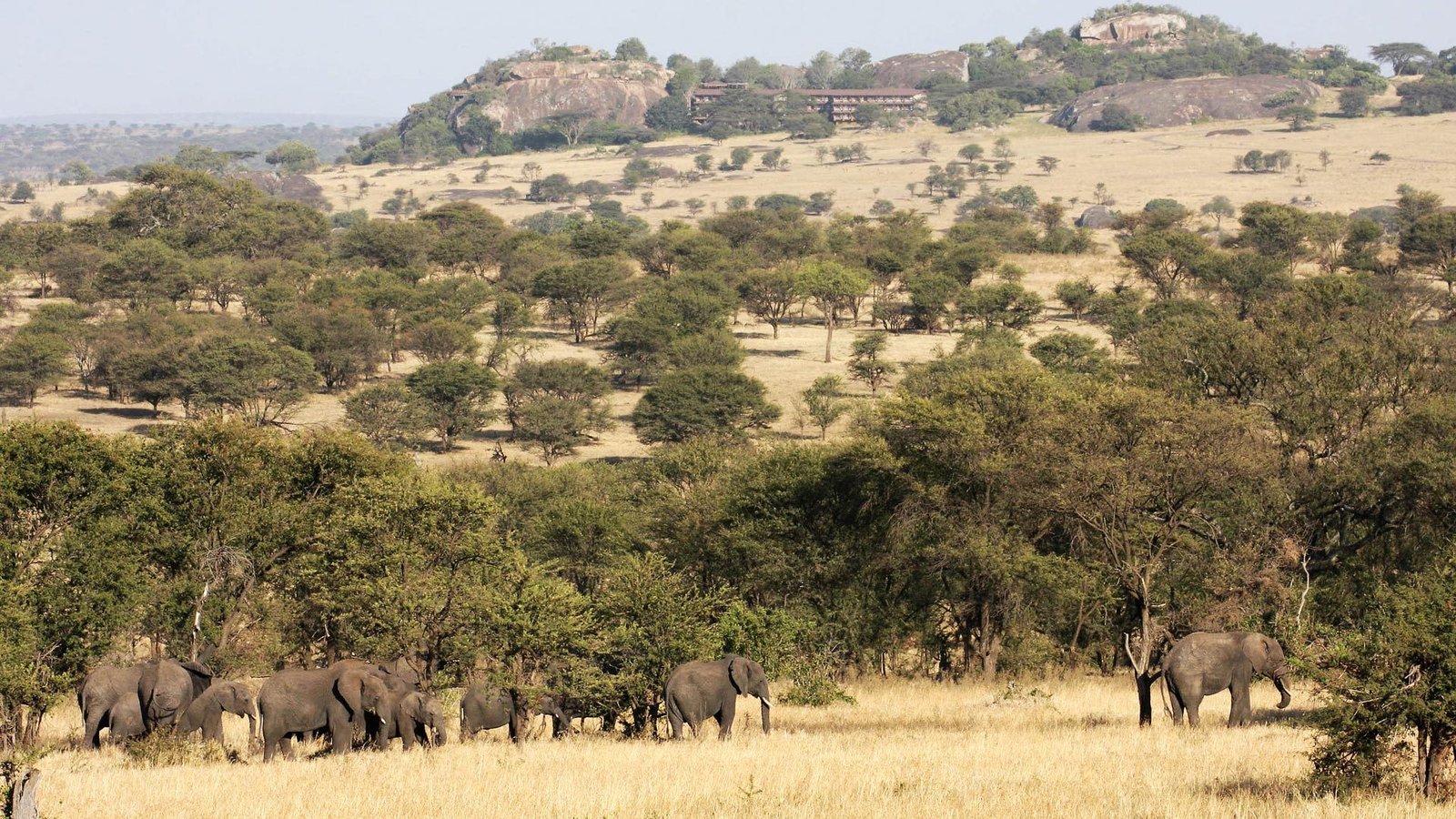 Lobo Wildlife Lodge - view 5