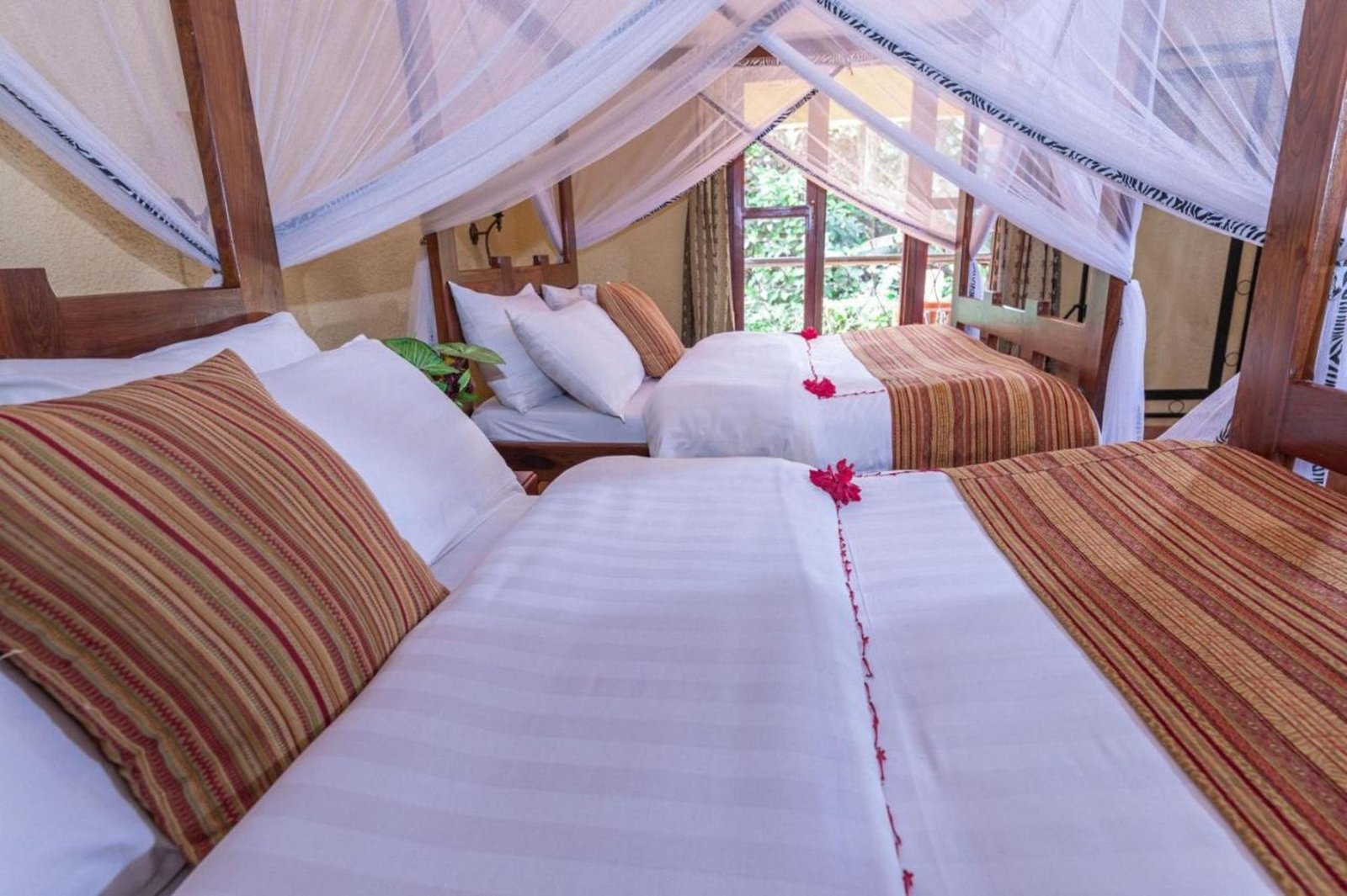 Kudu Lodge and Campsite - view 2