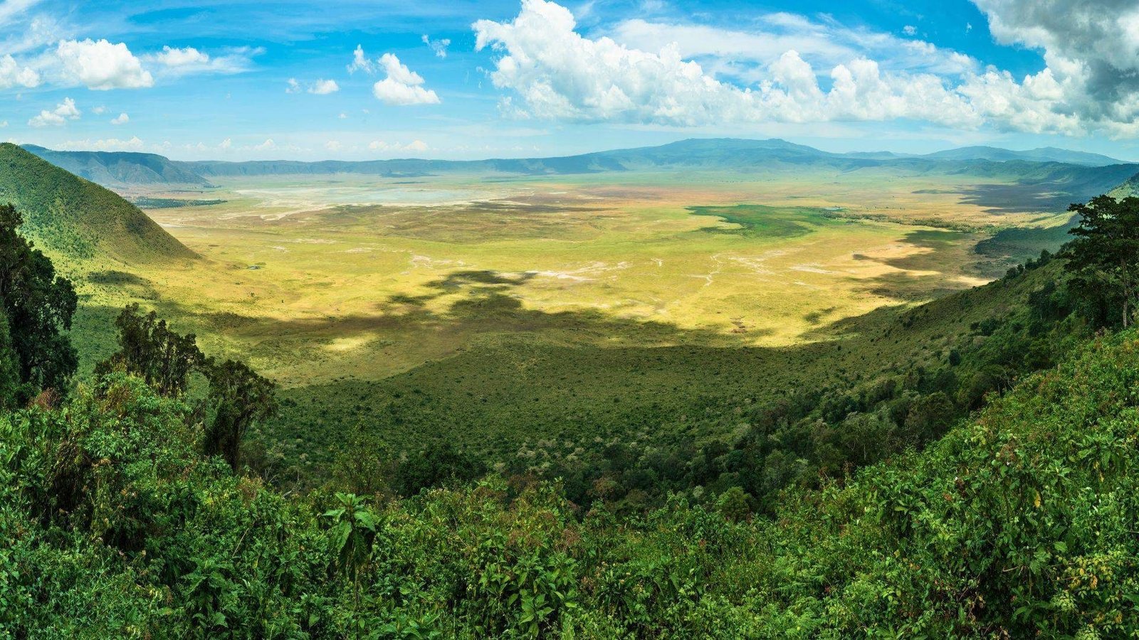 Crater Forest Tented Camp - view 4
