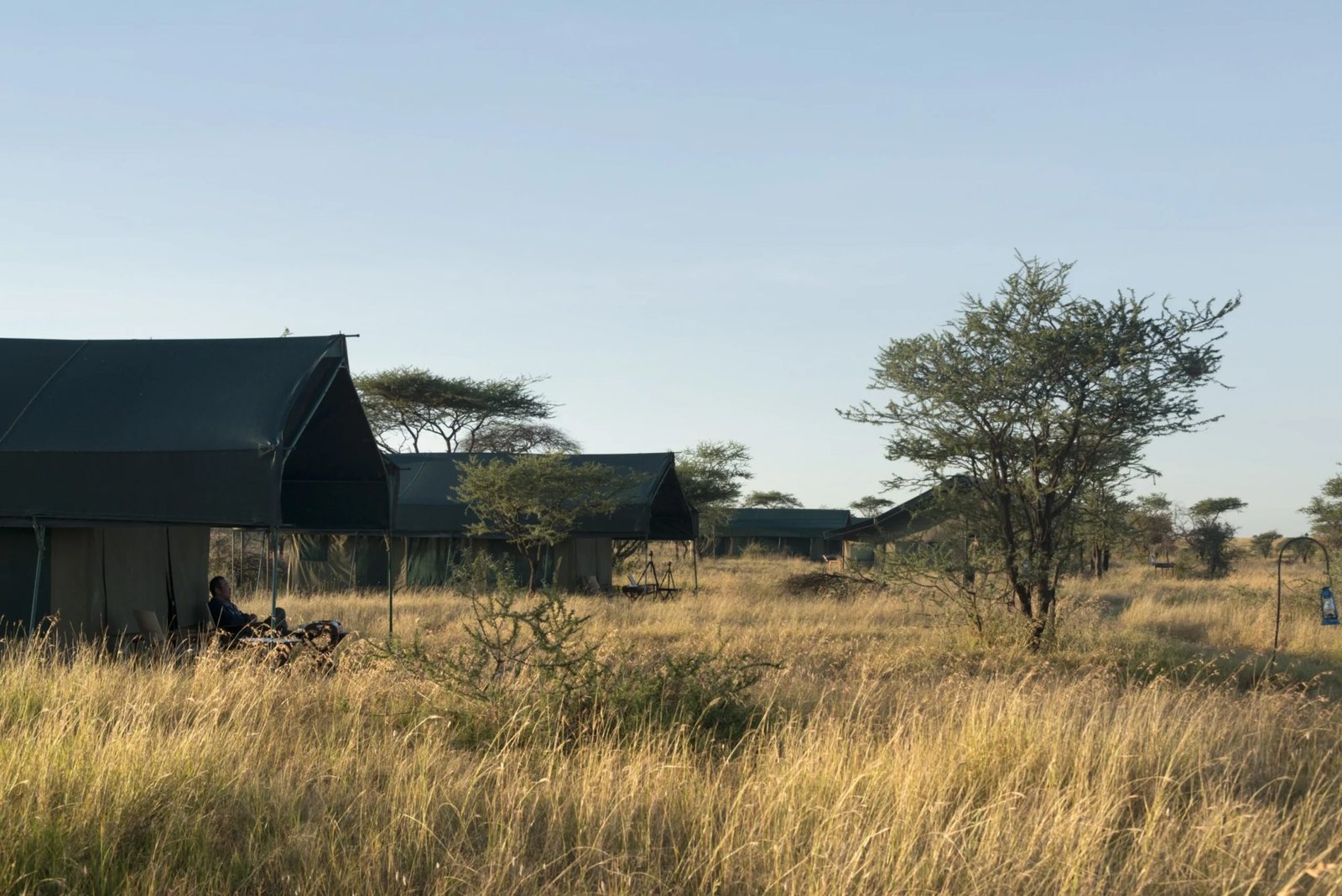 Mid‑Range Accommodation: Nyikani Migration Camp - view 2