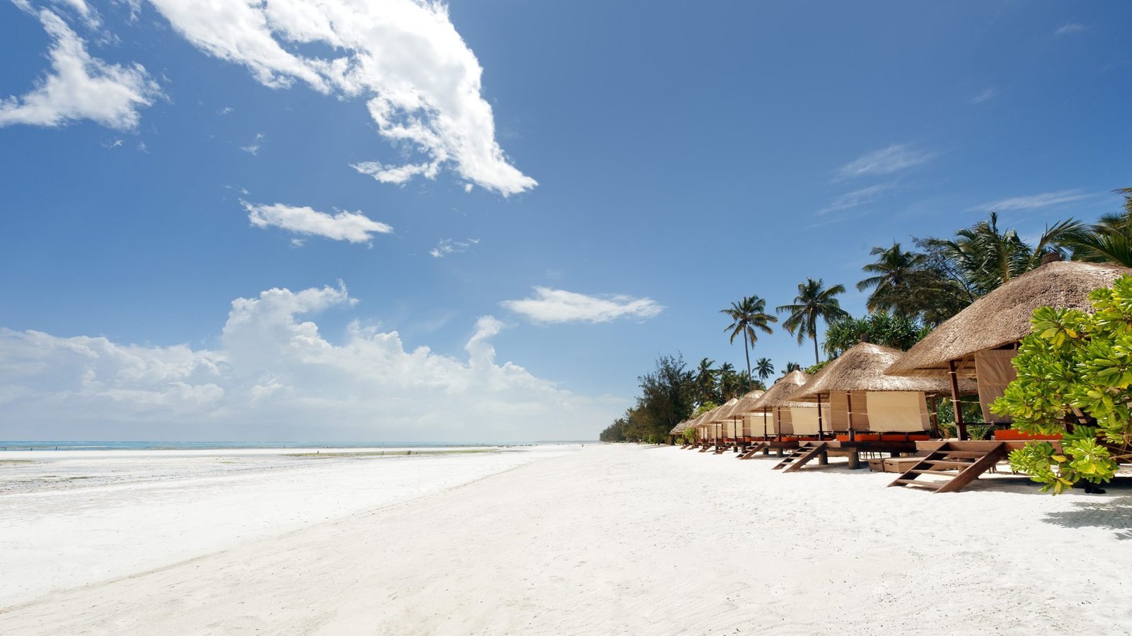 Meli&aacute; Zanzibar - view 2