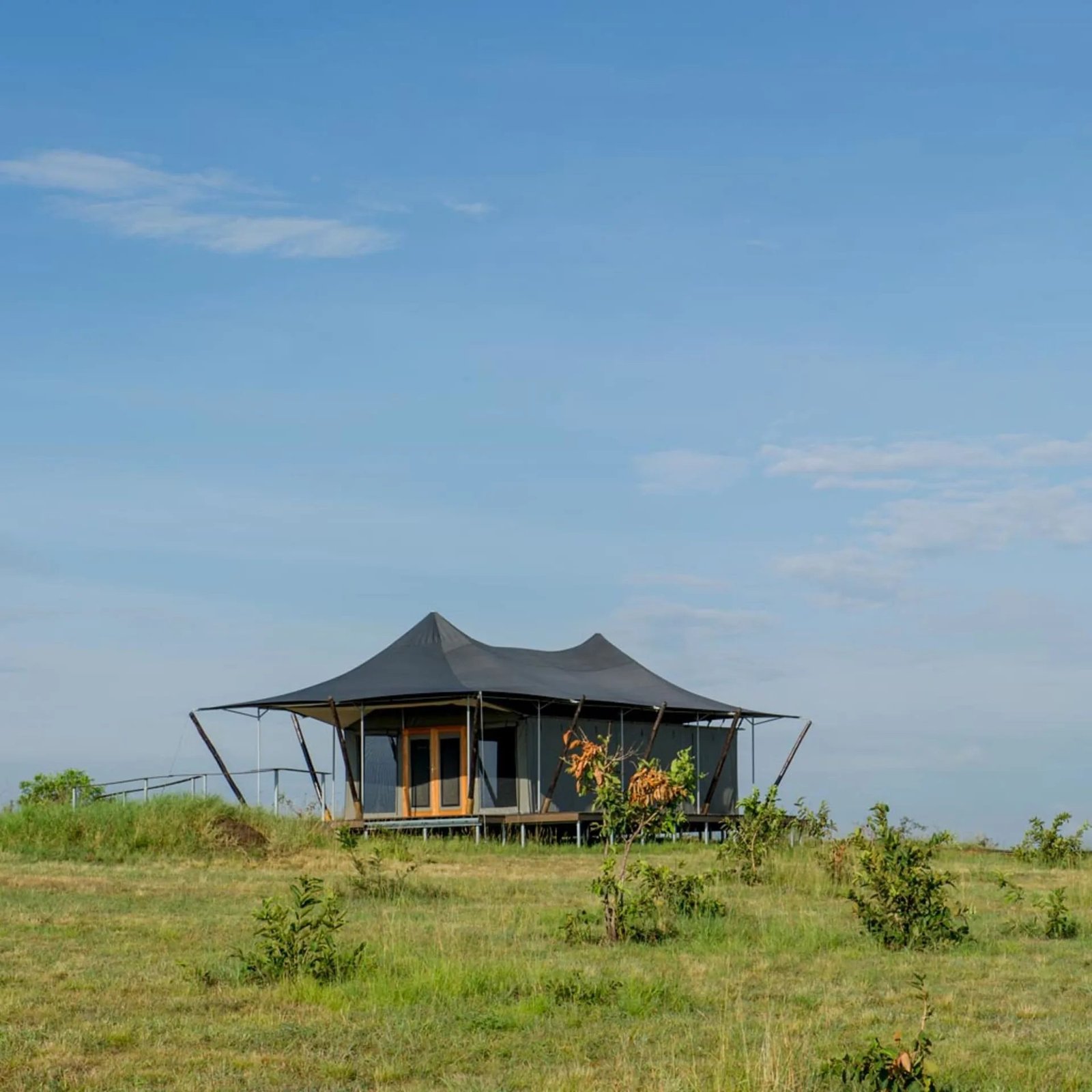 ThornTree Camp - view 2