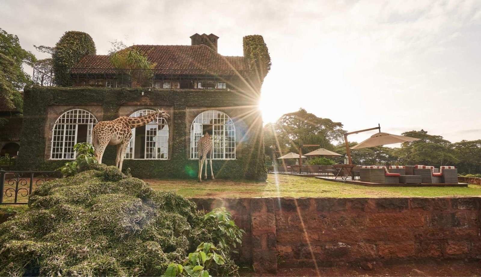 High-end Accommodation; Giraffe Manor Tanzania - view 5