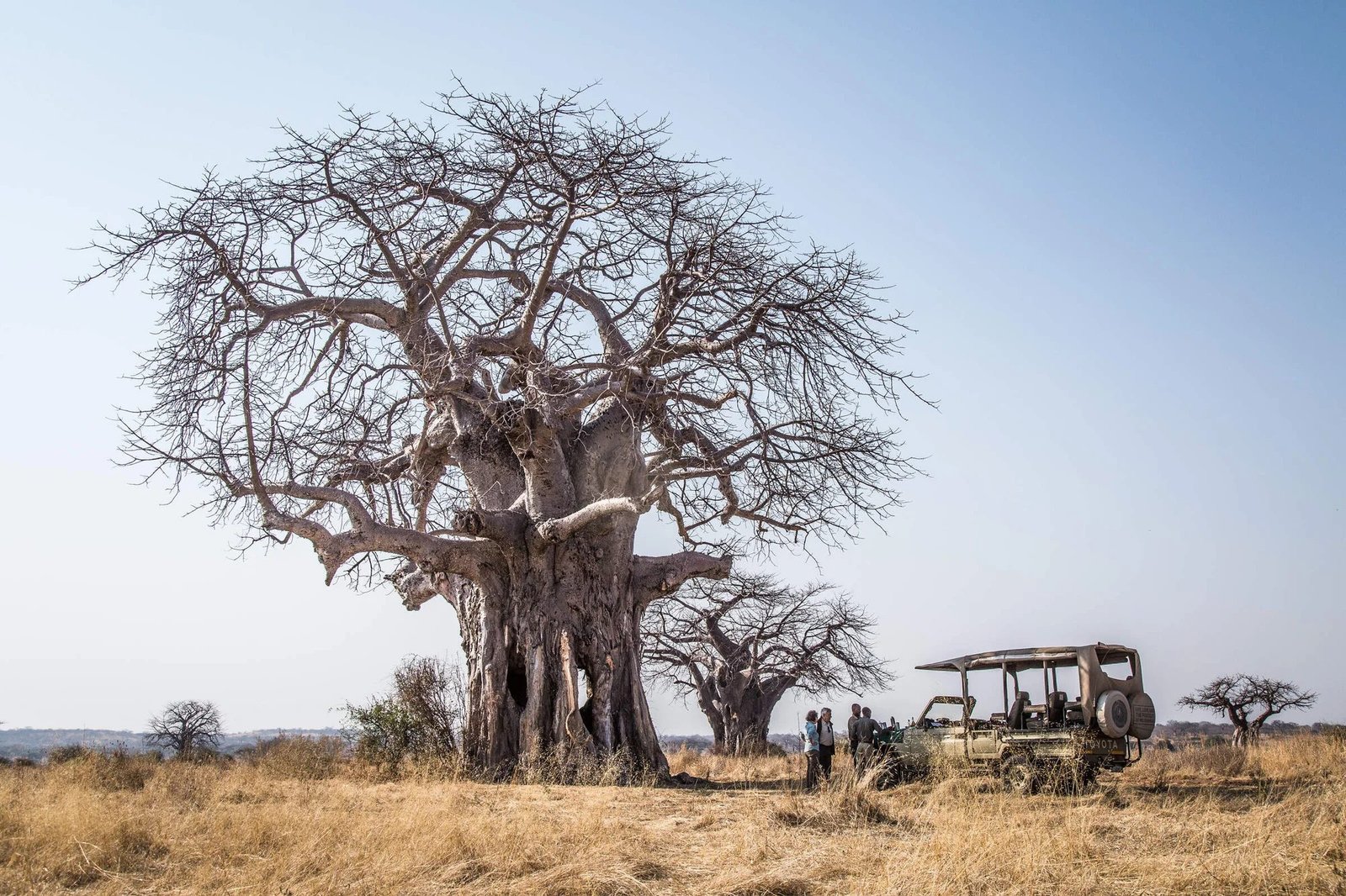 Ruaha Hilltop - view 2