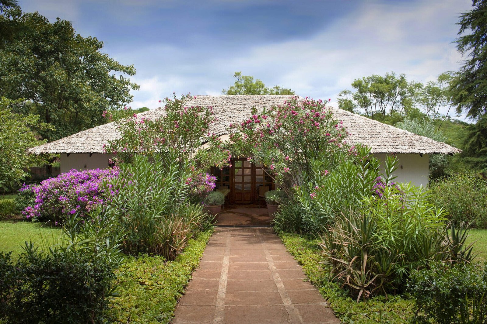 Bougainvillea Lodge - view 4