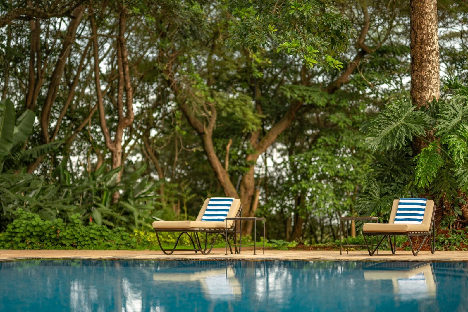 Ngorongoro Farm House - view 3