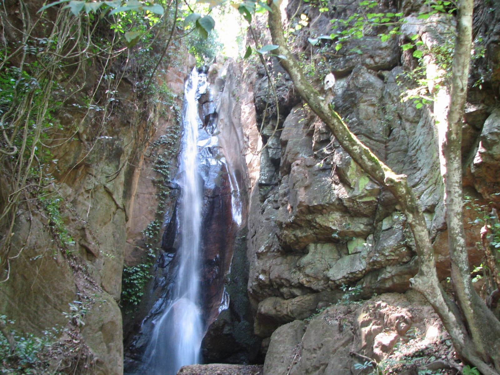 Gombe Stream National Park - view 5