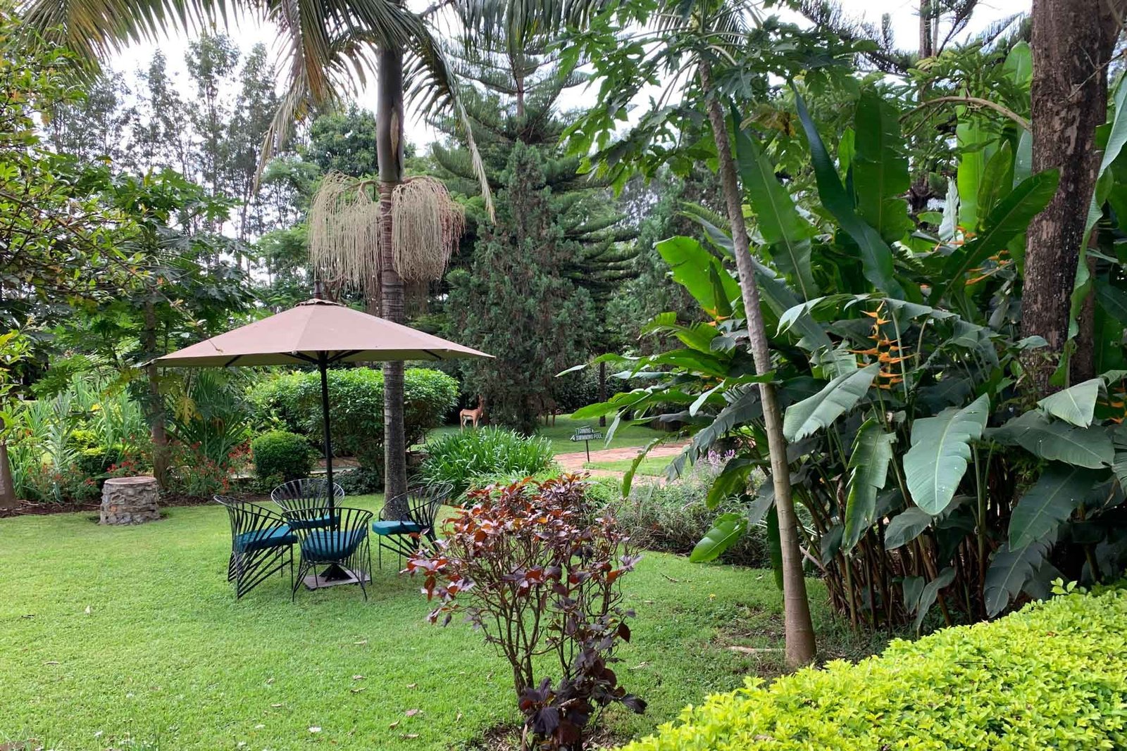 Bougainvillea Safari Lodge - view 4