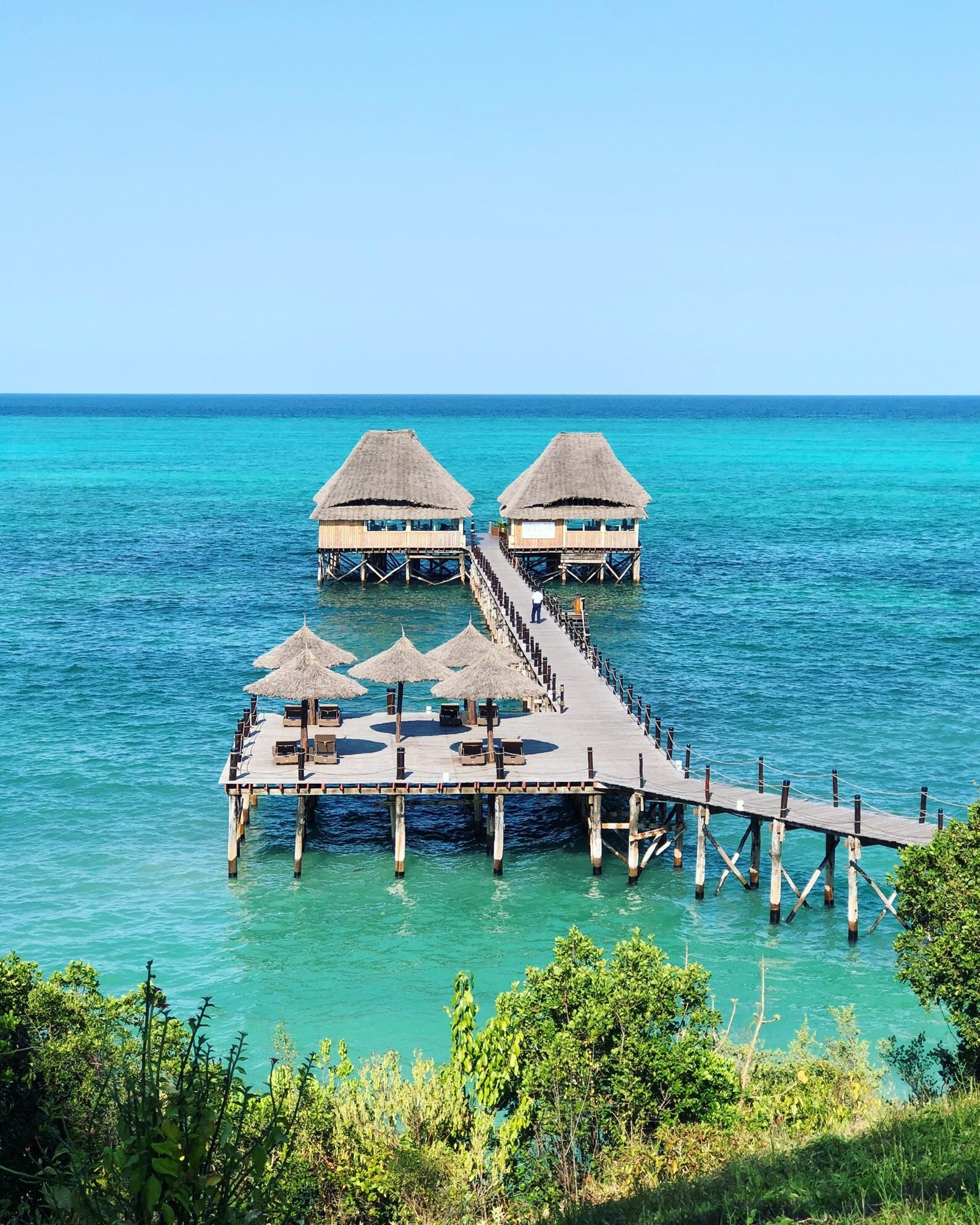 Zanzibar Melia - view 5
