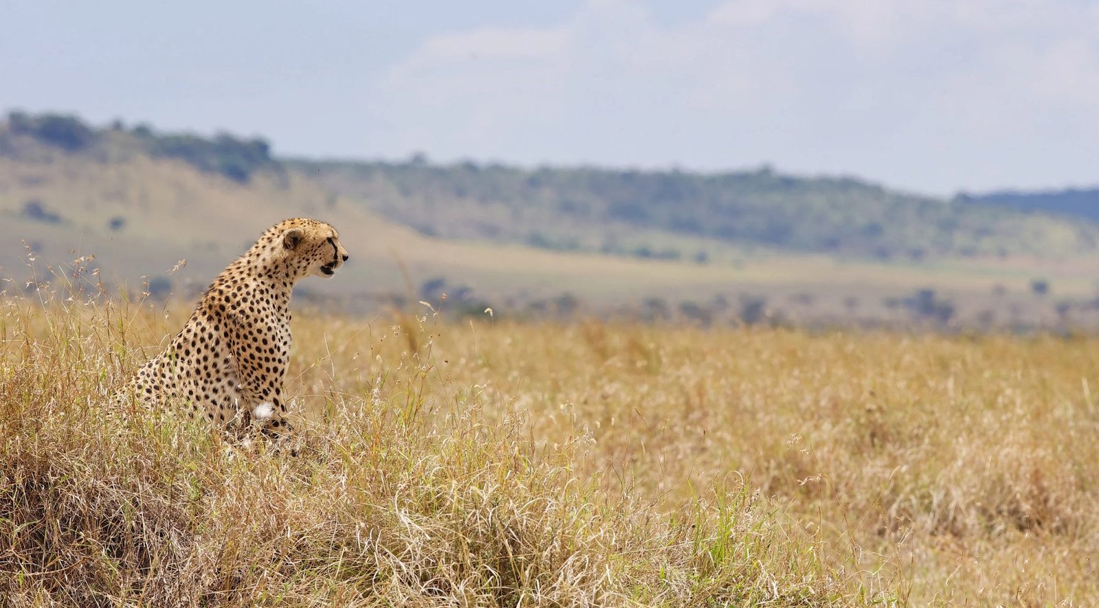 Namiri Plains - view 2