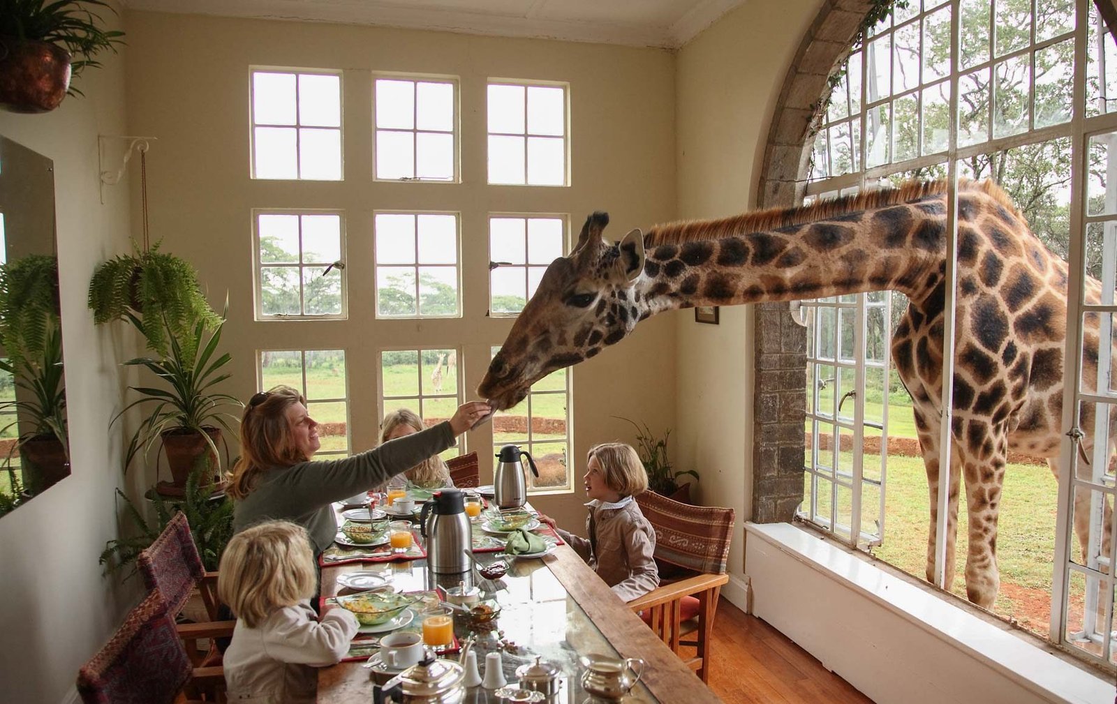 Giraffe Manor Tanzania - view 5