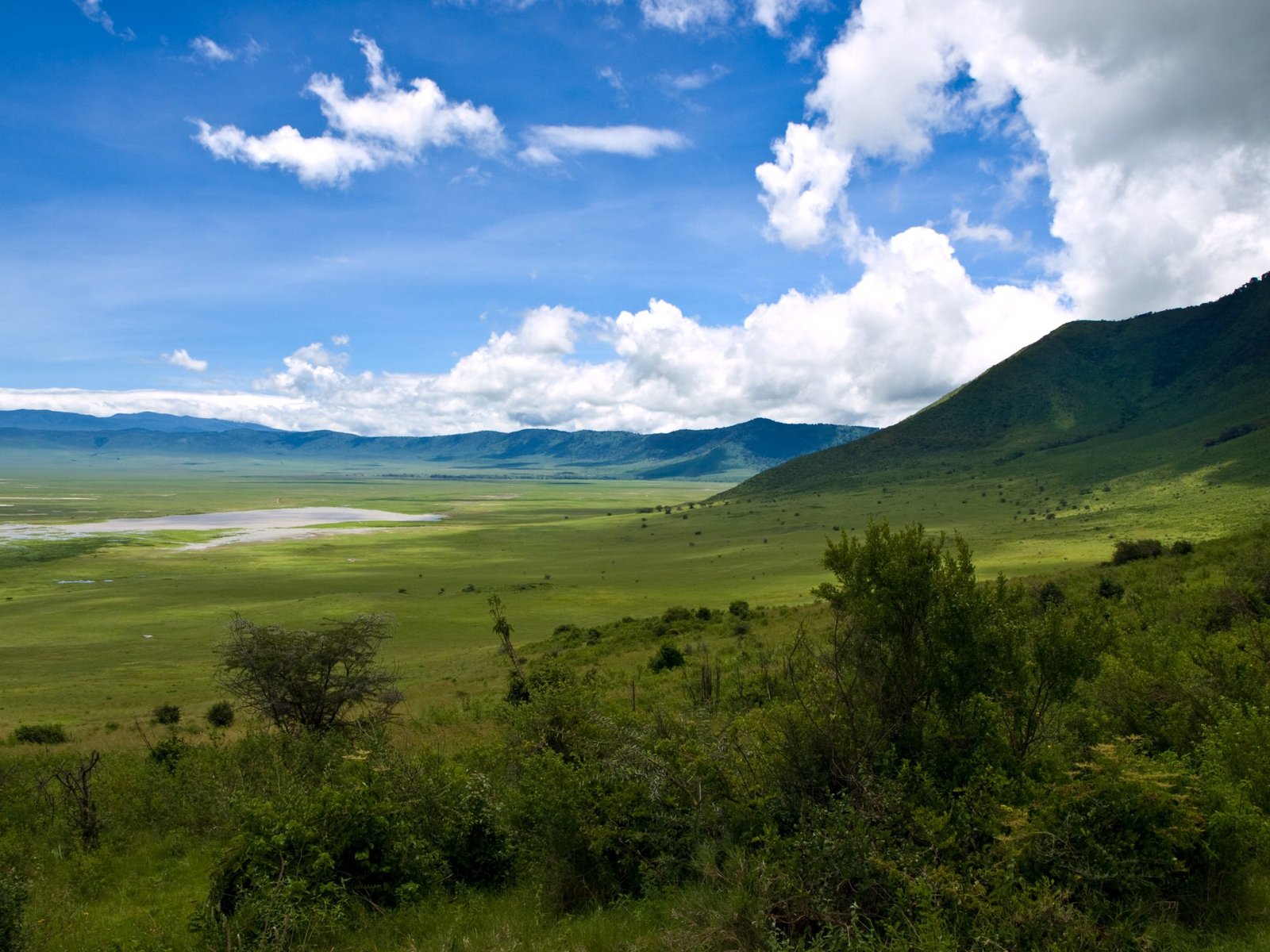 Kudu Lodge and Campsite