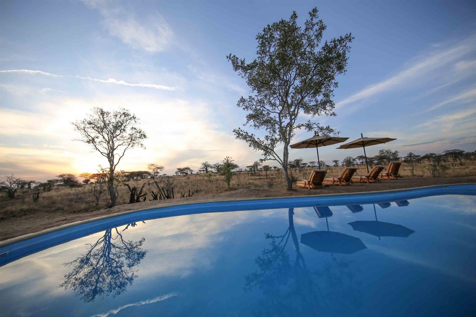 Nimali Tarangire Camp - view 3