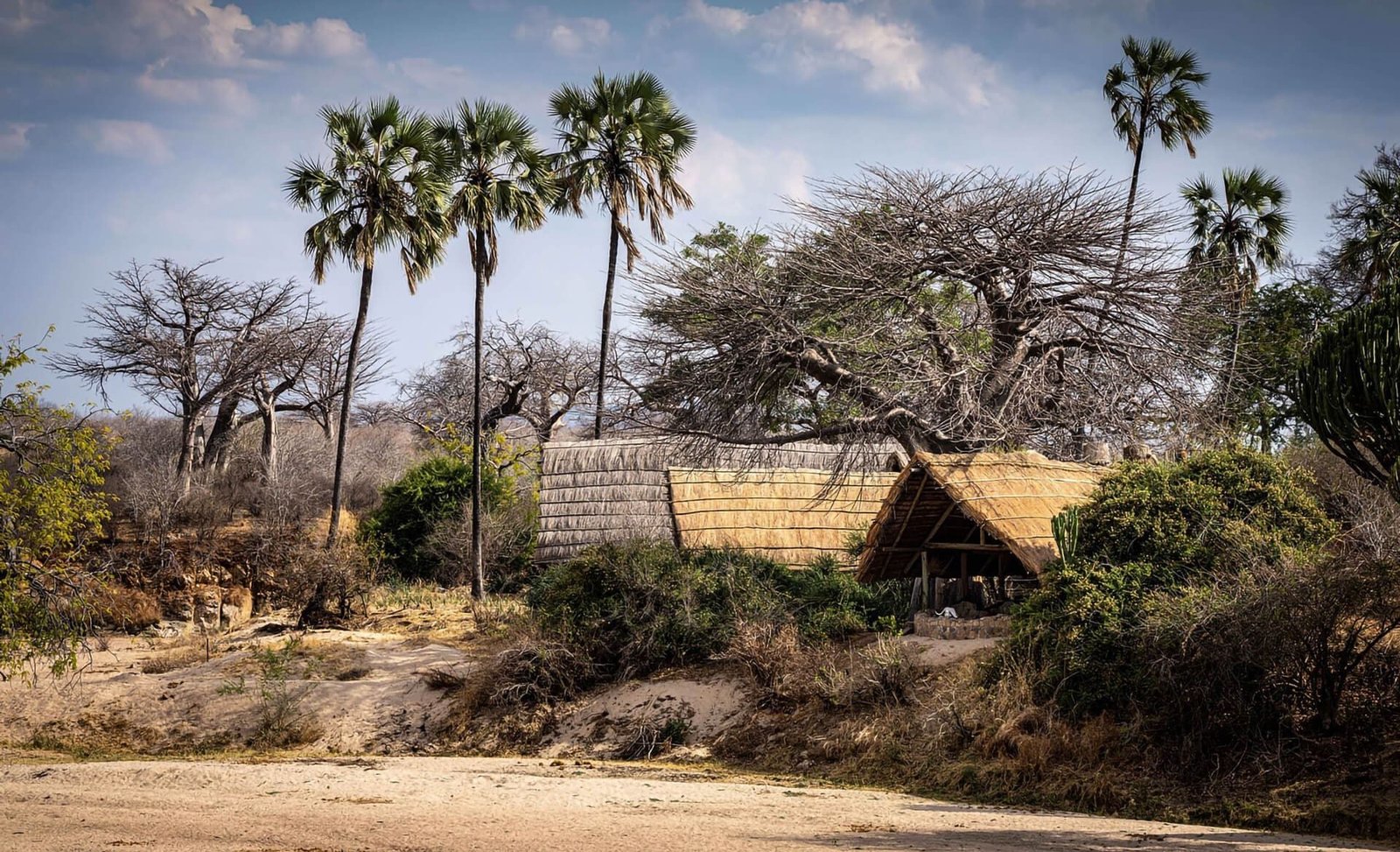 Mwagusi Safari Camp - view 4