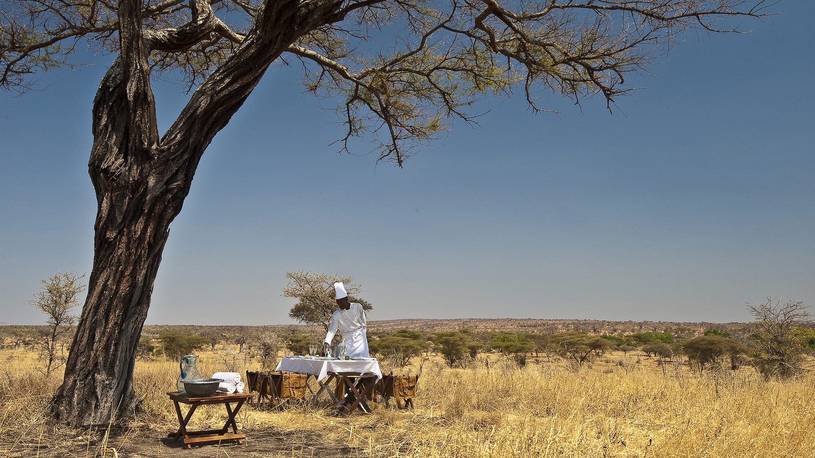 Tarangire Treetops by Elewana - view 4