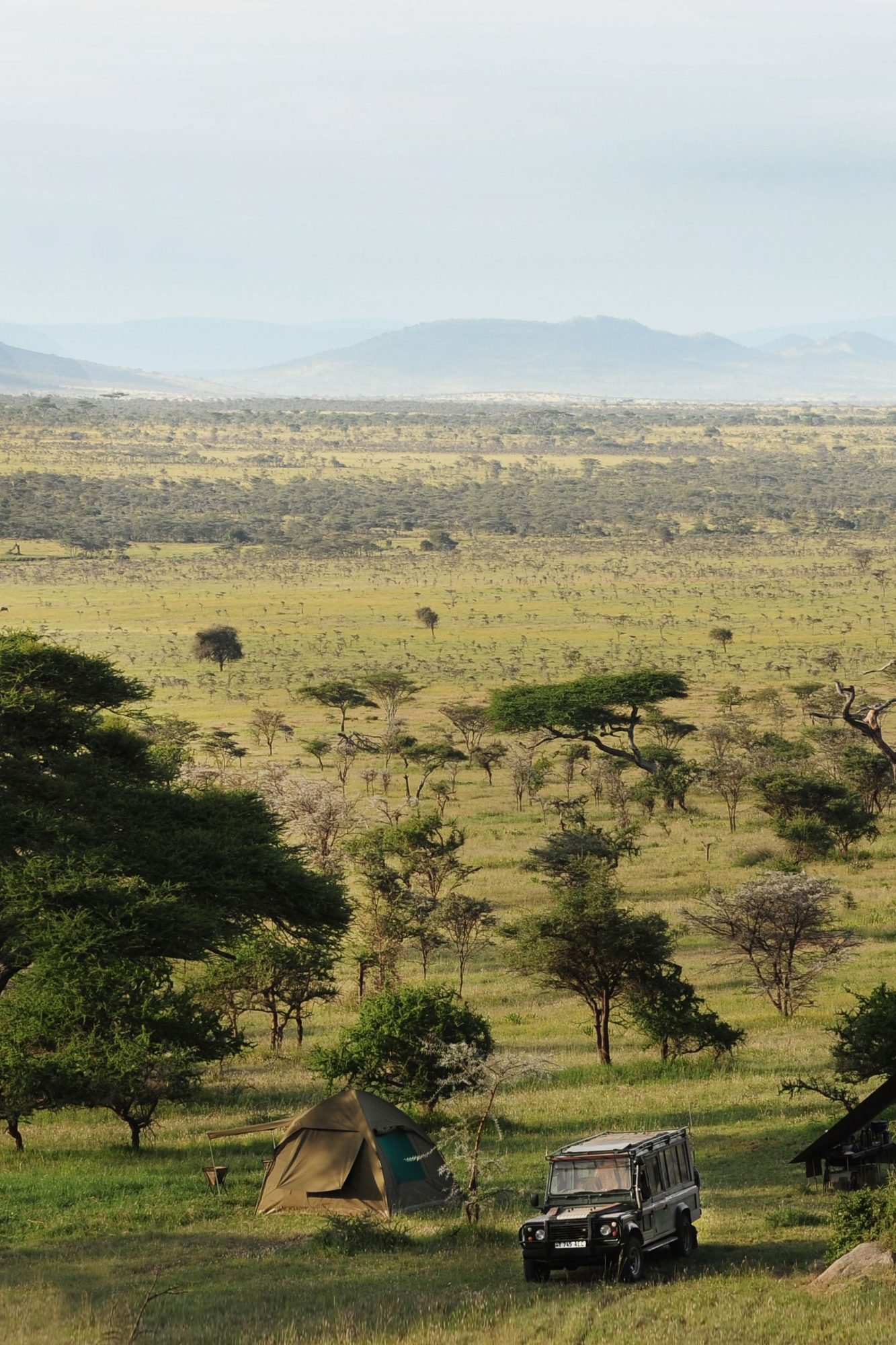 Serengeti Sound of Nature Luxury Tented - view 3