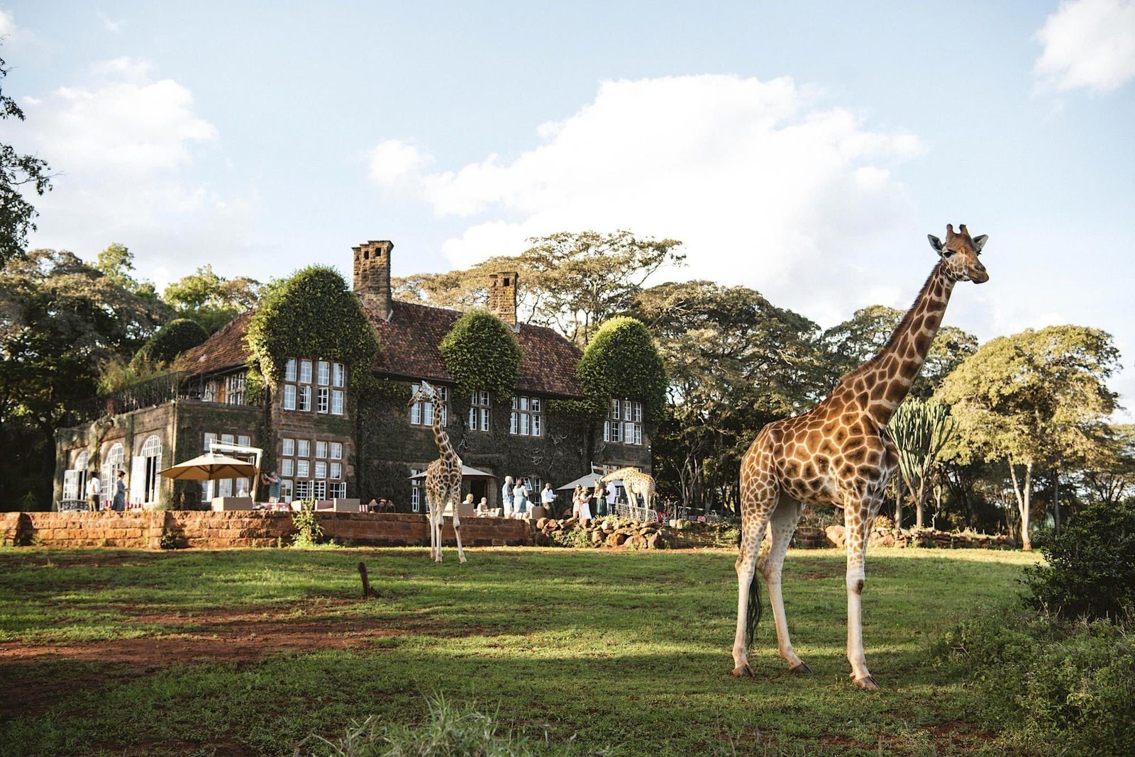 Giraffe Manor Tanzania - view 3