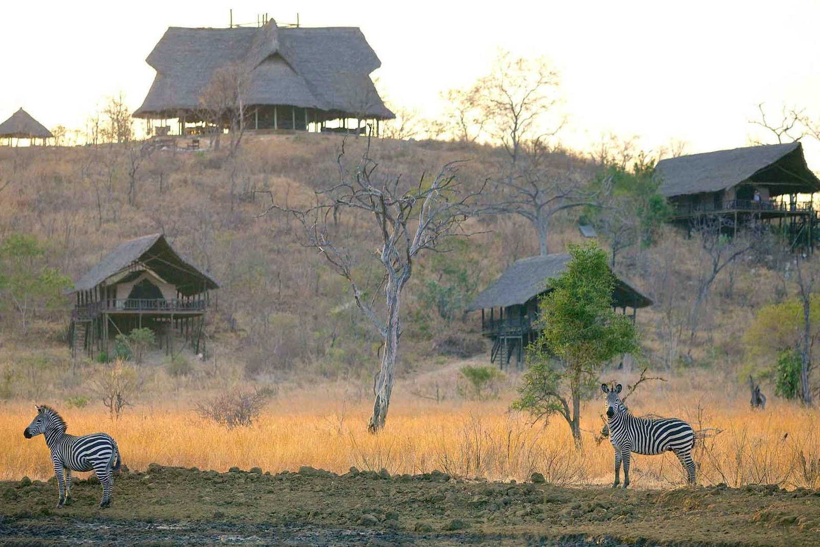 Stanley's Kopje - Luxury accommodation in Tanzania