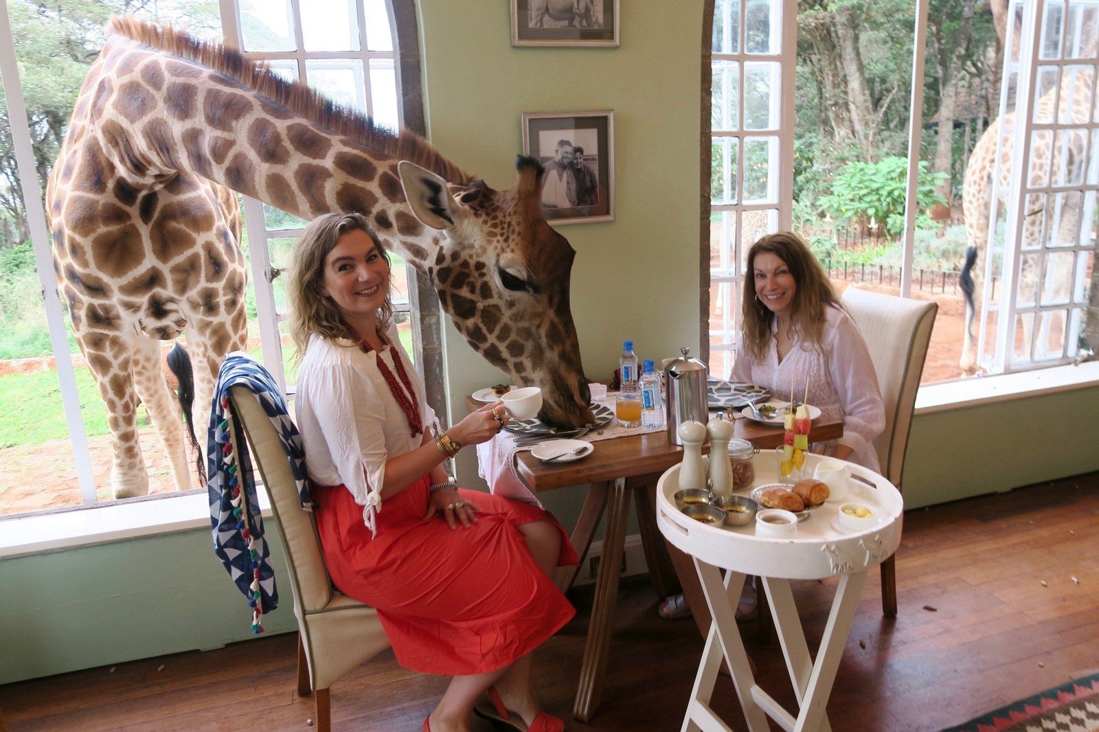 High-end Accommodation; Giraffe Manor Tanzania - view 3