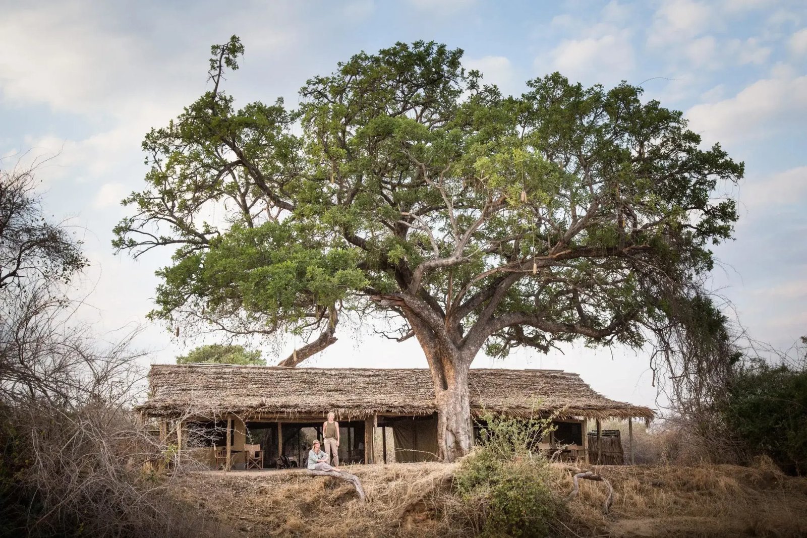 Kigelia Camp - High-End Luxury accommodation in Tanzania