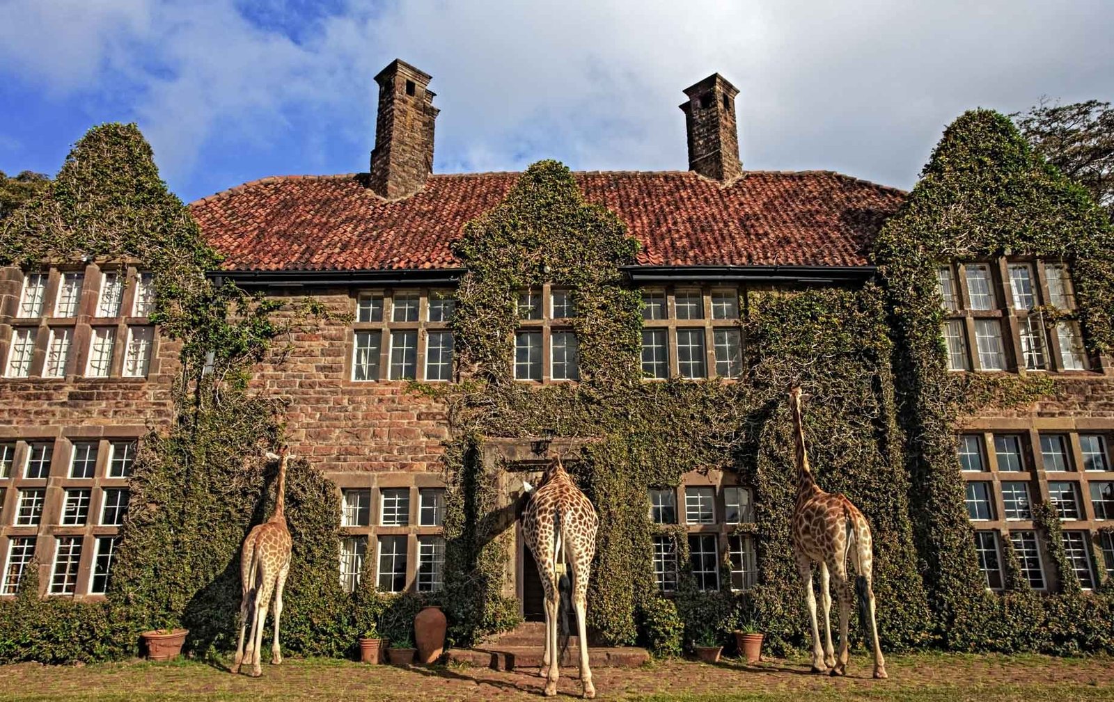 Giraffe Manor Tanzania. - view 5