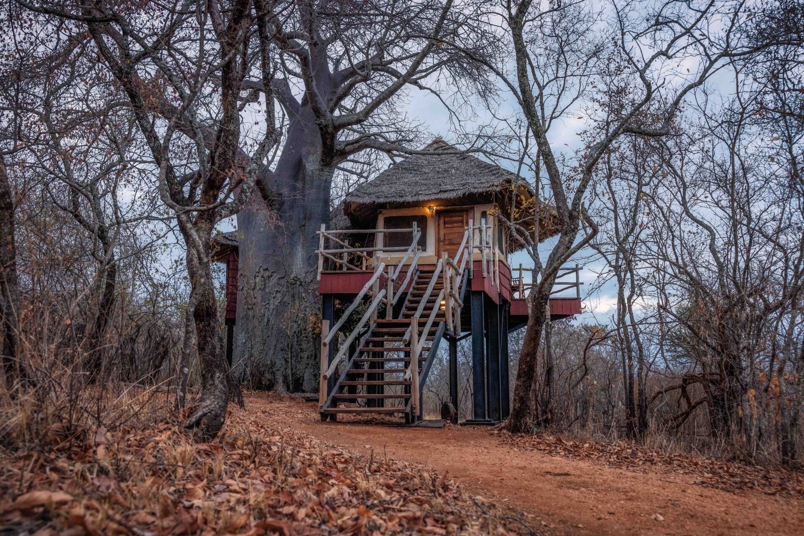 Tarangire Treetops by Elewana - view 2
