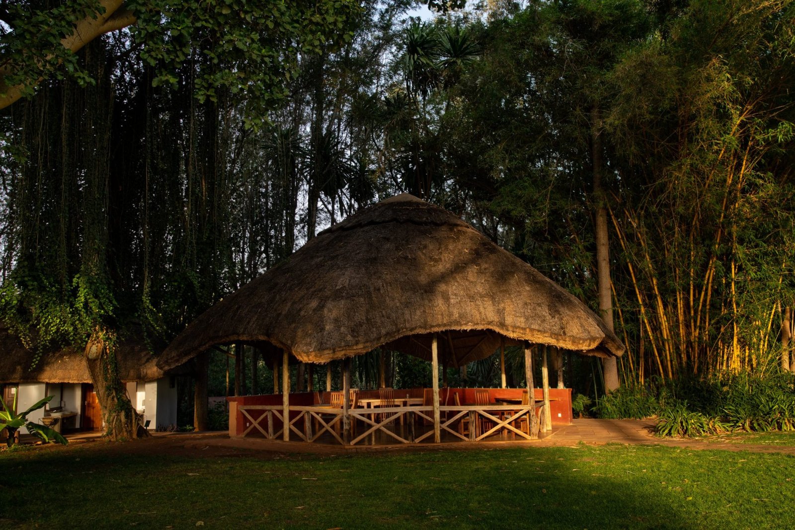 Ngorongoro Farm House - view 2