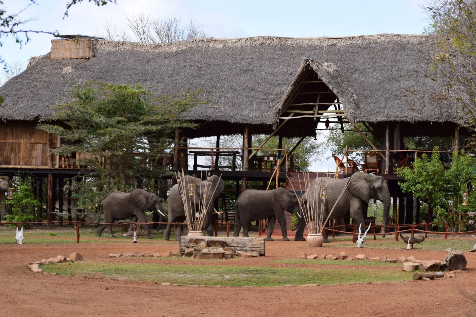 Selous Impala Camp - view 2