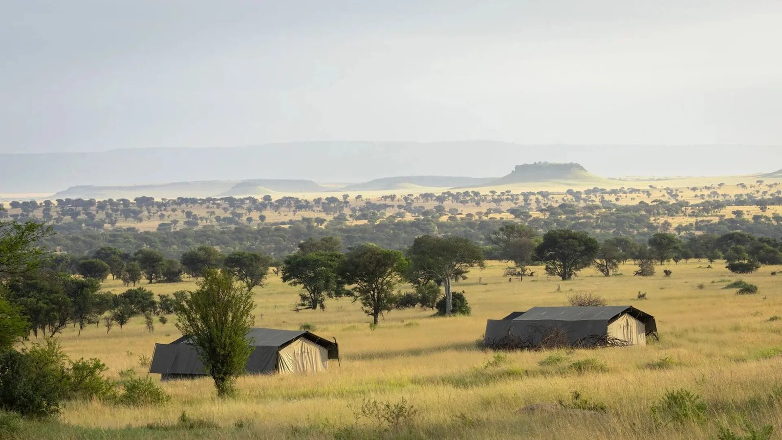 Asilia Olakira Migration Camp - view 4
