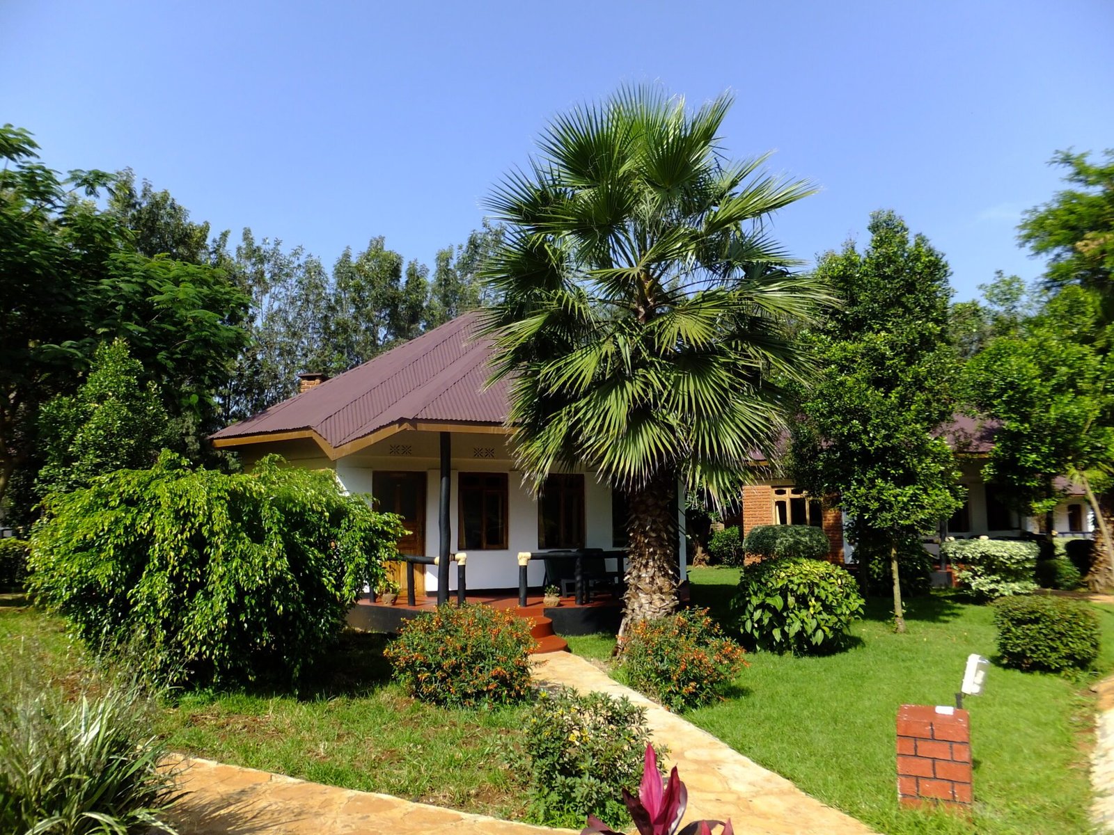 Bougainvillea Lodge - view 2