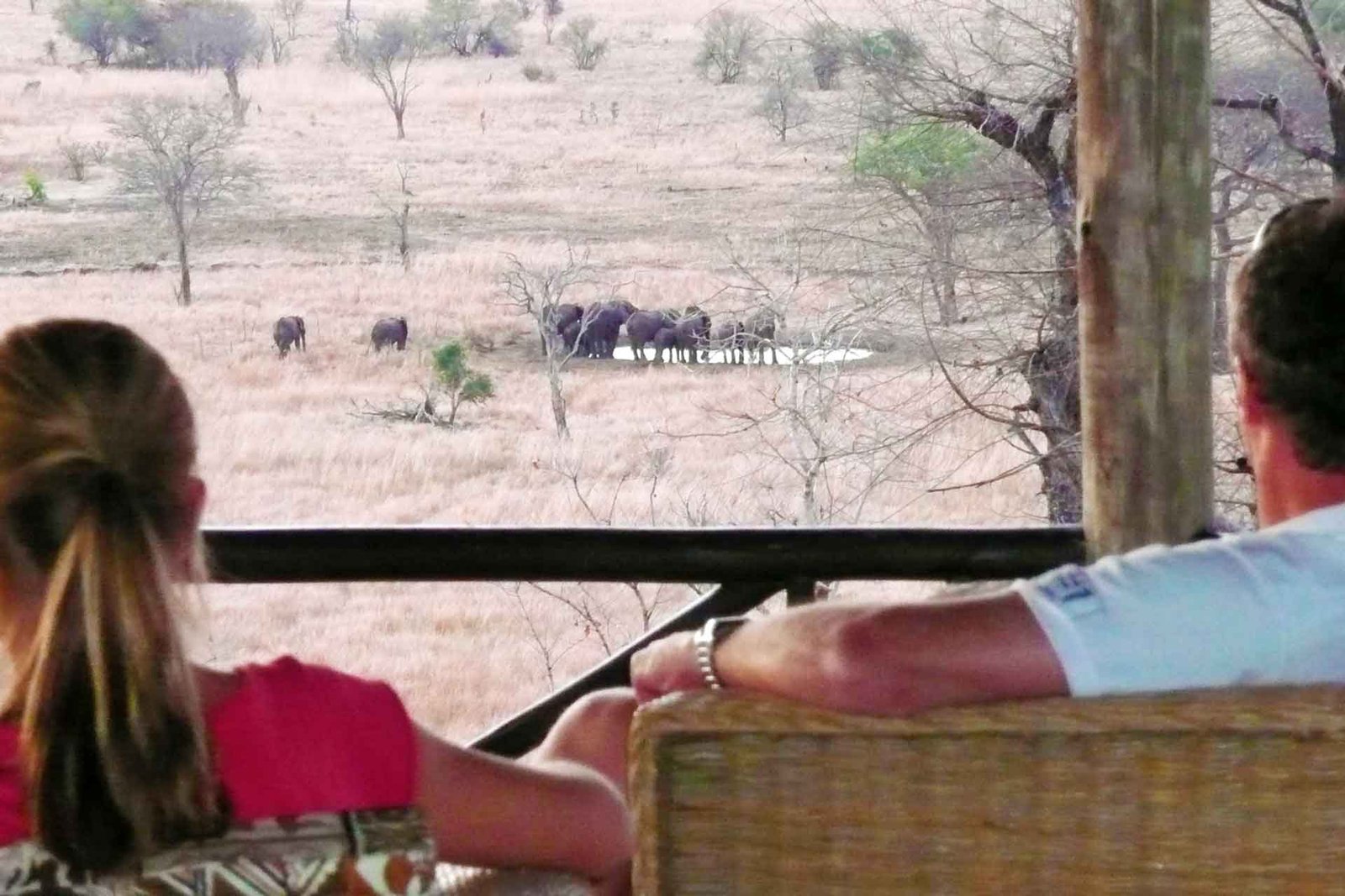 Stanley's Kopje - view 4