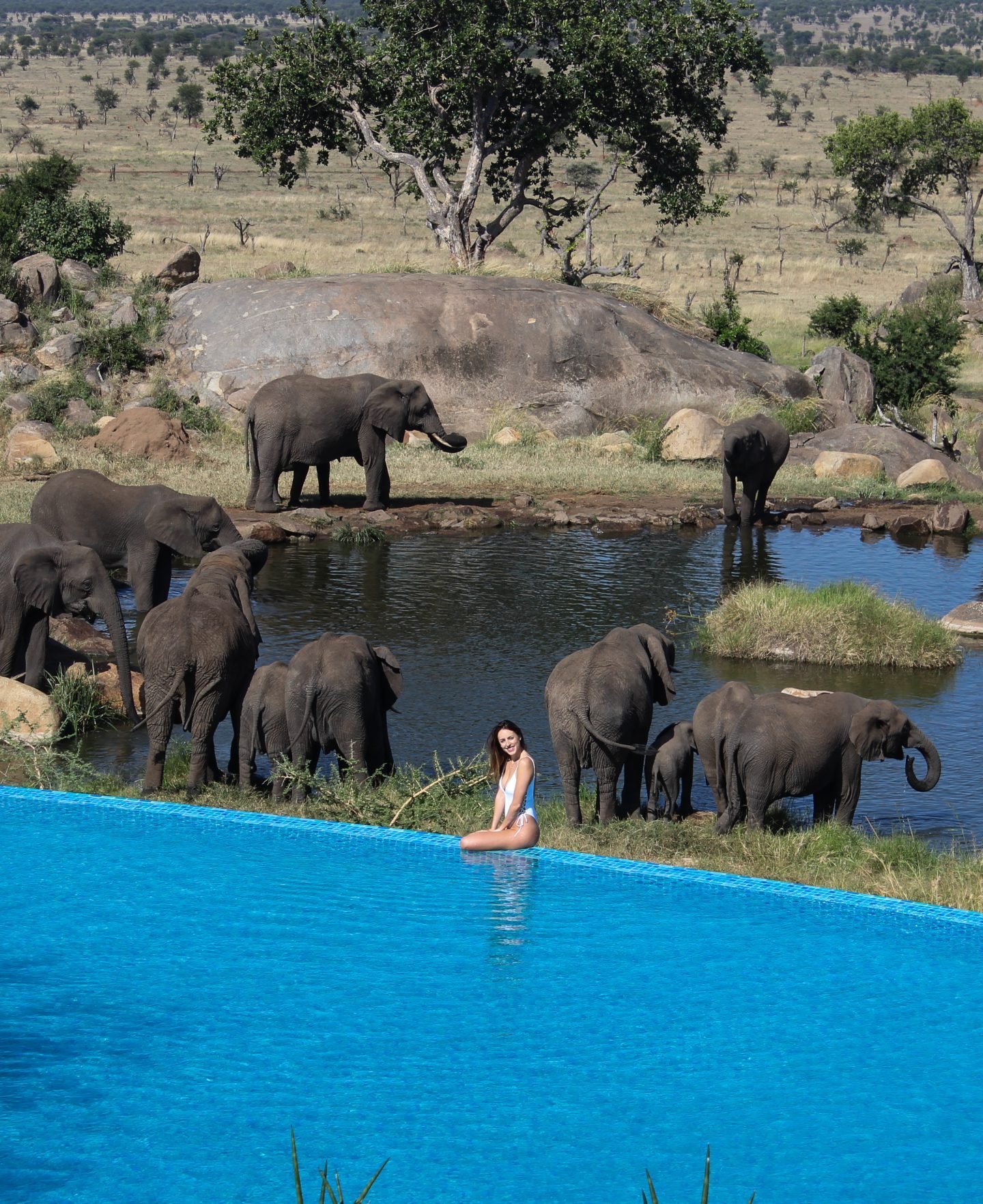 Four Seasons Safari Lodge Serengeti - view 3