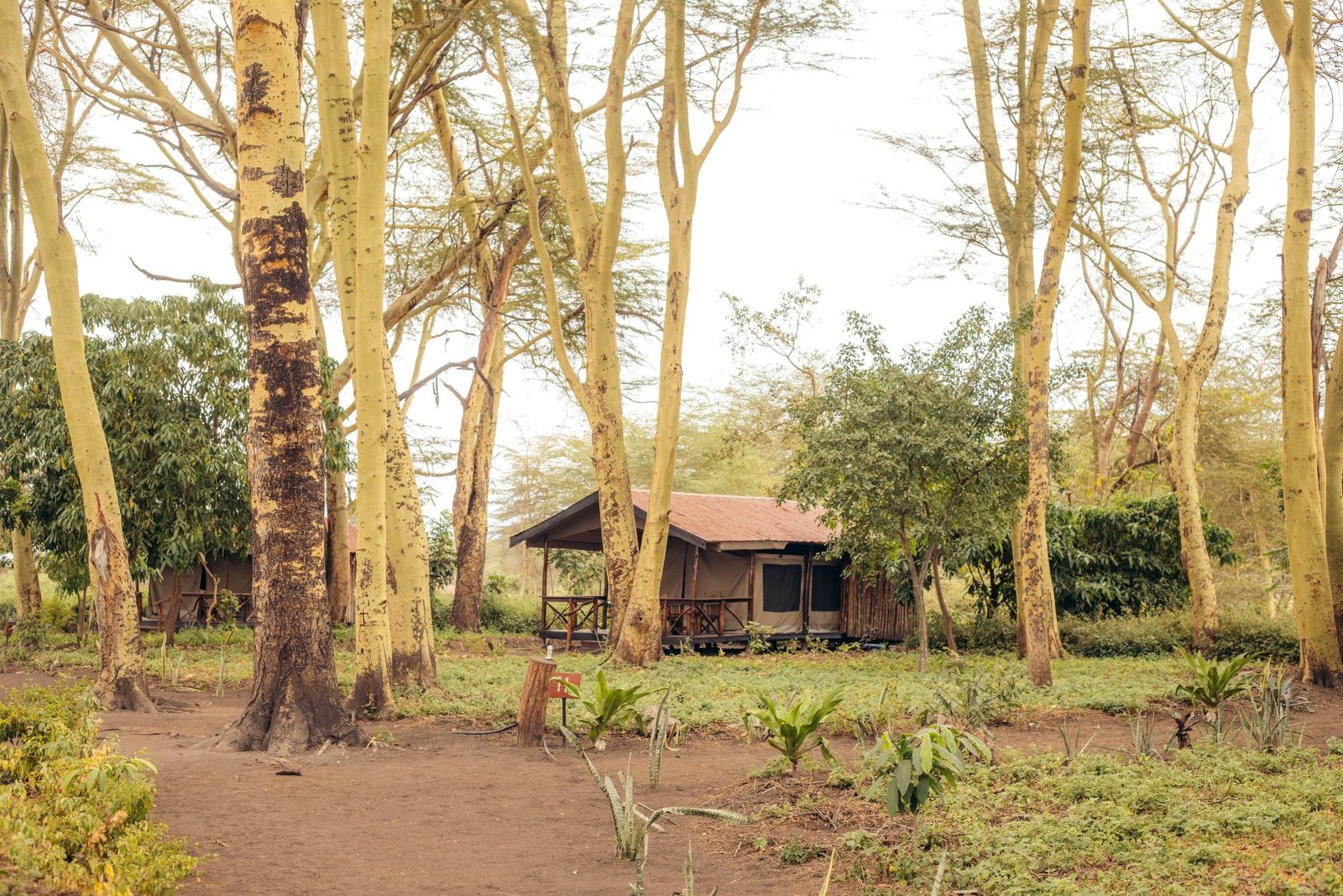 Migunga Tented Camp - view 4